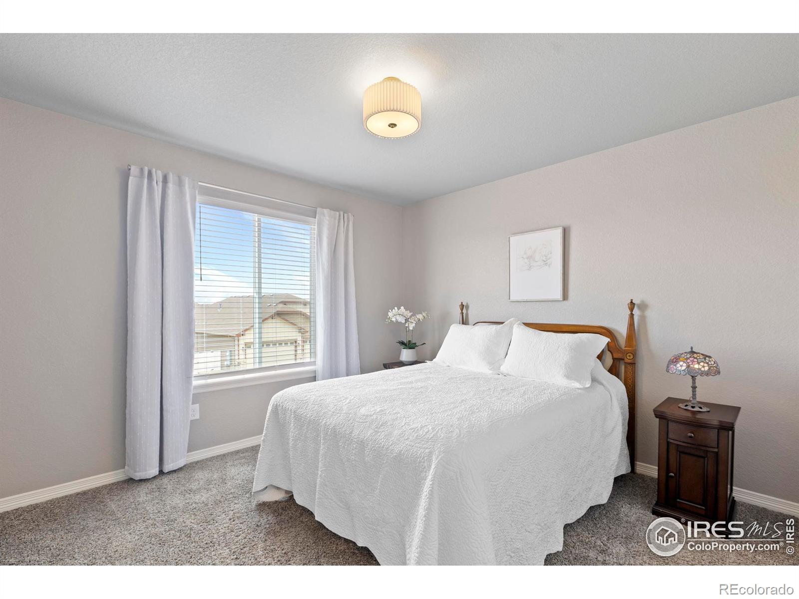 MLS Image #26 for 6042  carmon drive,windsor, Colorado