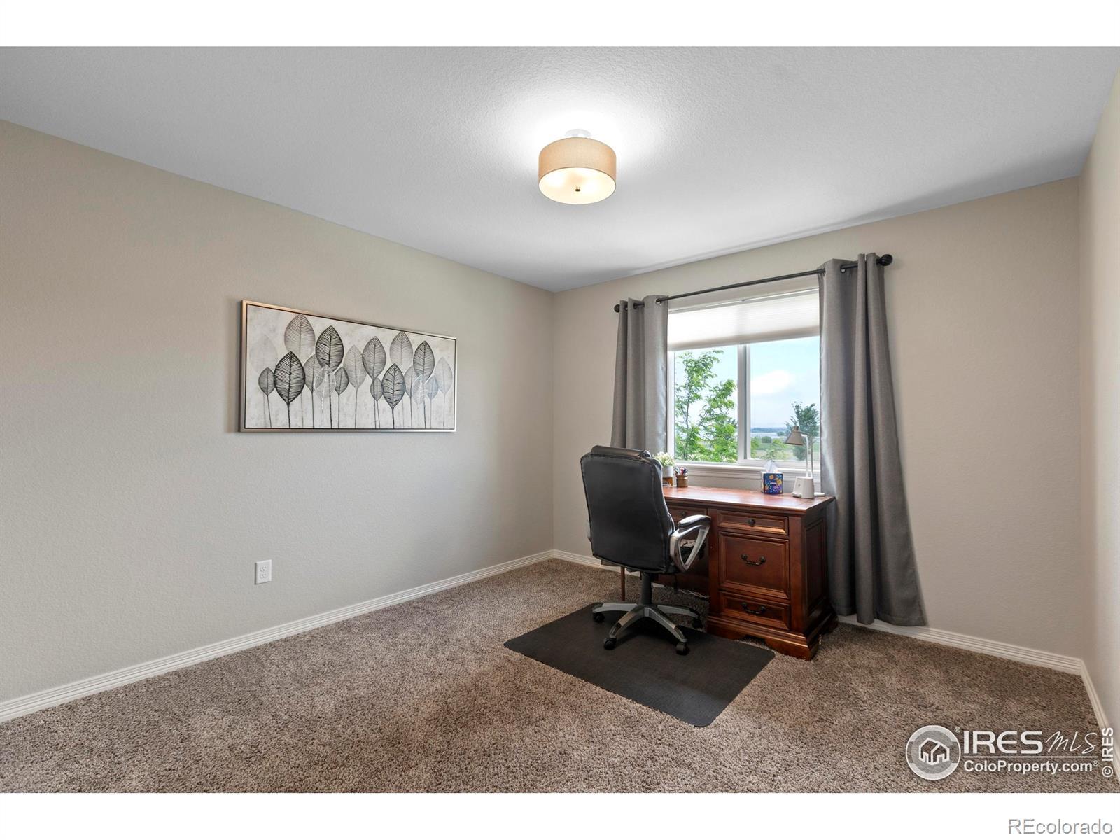 MLS Image #29 for 6042  carmon drive,windsor, Colorado