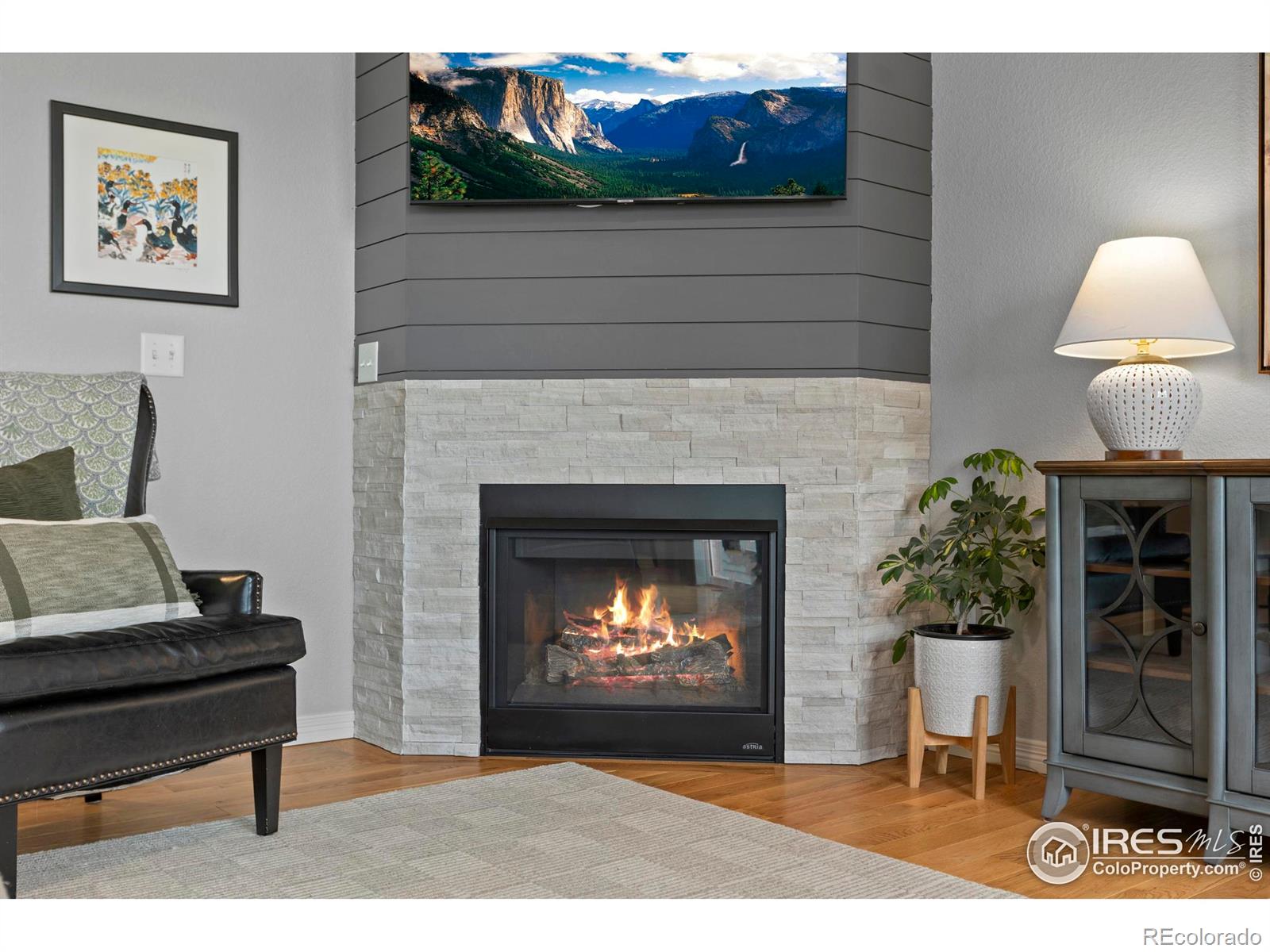 MLS Image #8 for 6042  carmon drive,windsor, Colorado
