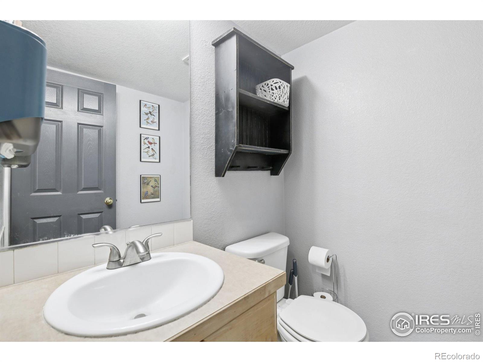 MLS Image #25 for 2109  blue duck drive,loveland, Colorado