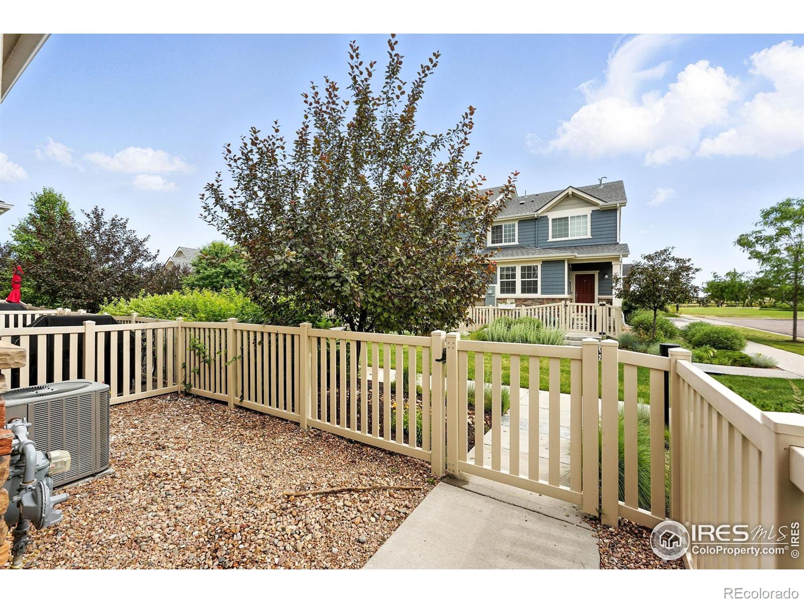 MLS Image #4 for 173  jackson drive,erie, Colorado