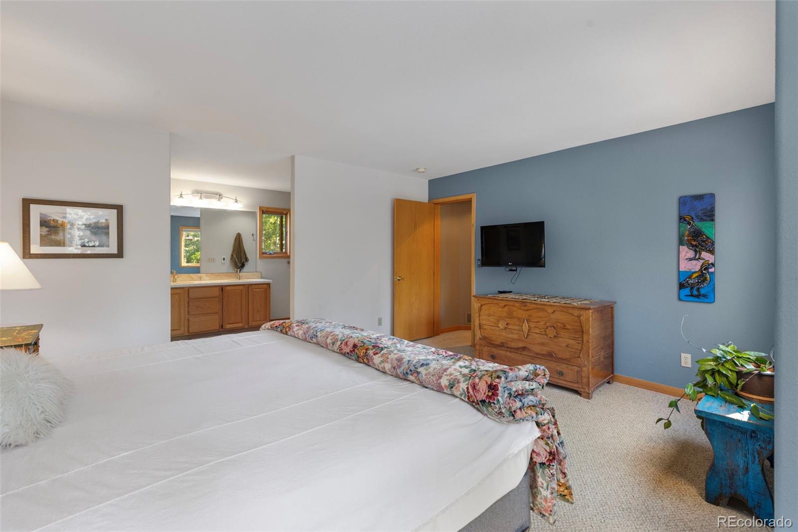 MLS Image #32 for 91  riverside place,frisco, Colorado