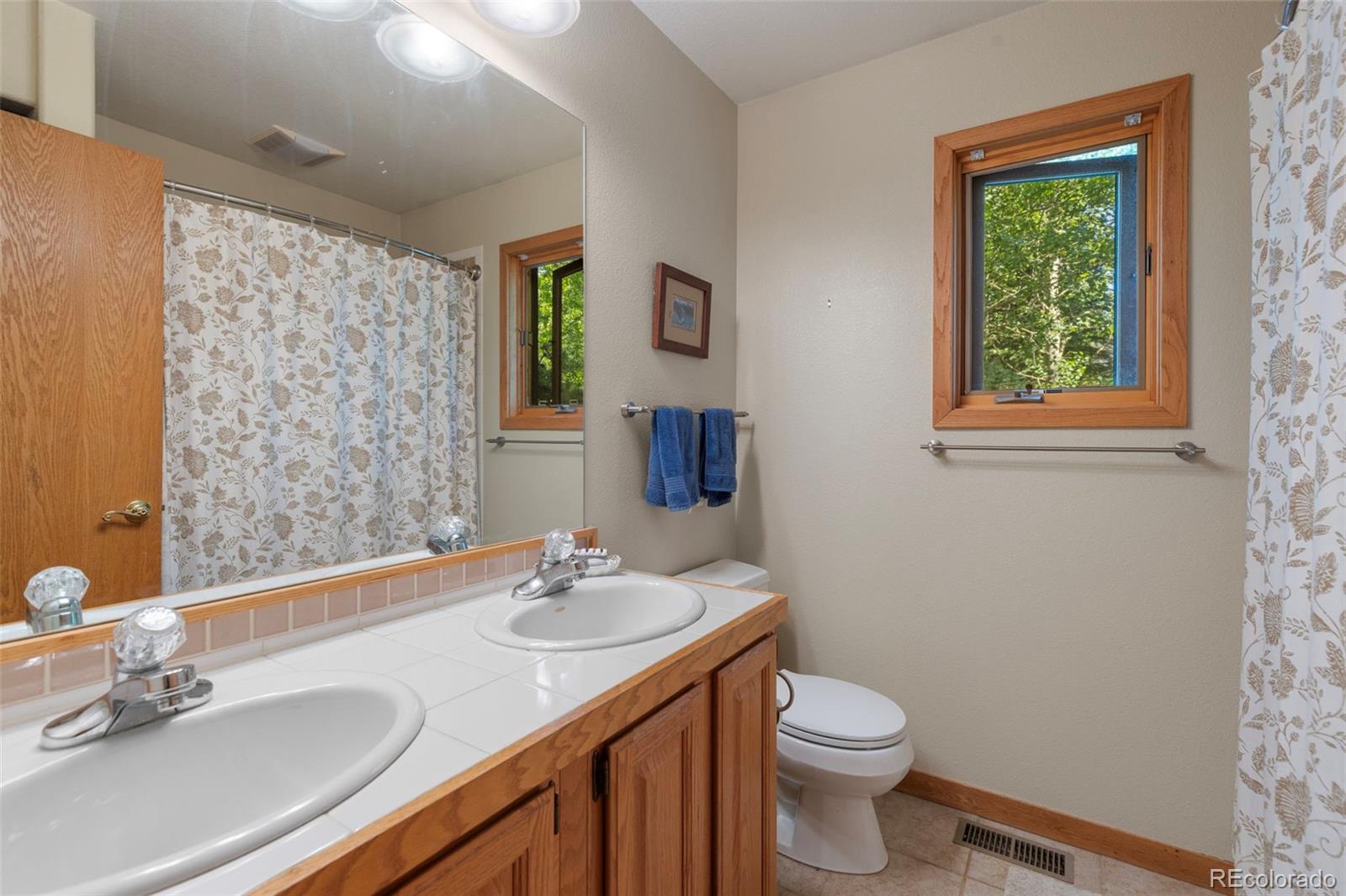 MLS Image #37 for 91  riverside place,frisco, Colorado