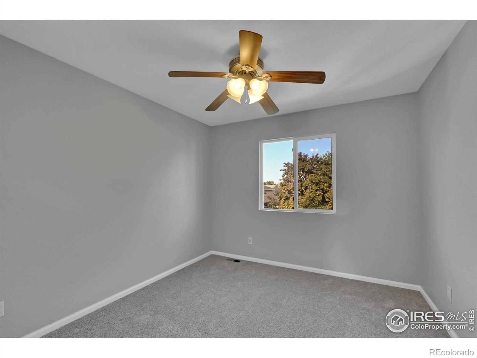 MLS Image #16 for 1226  fremont court,longmont, Colorado
