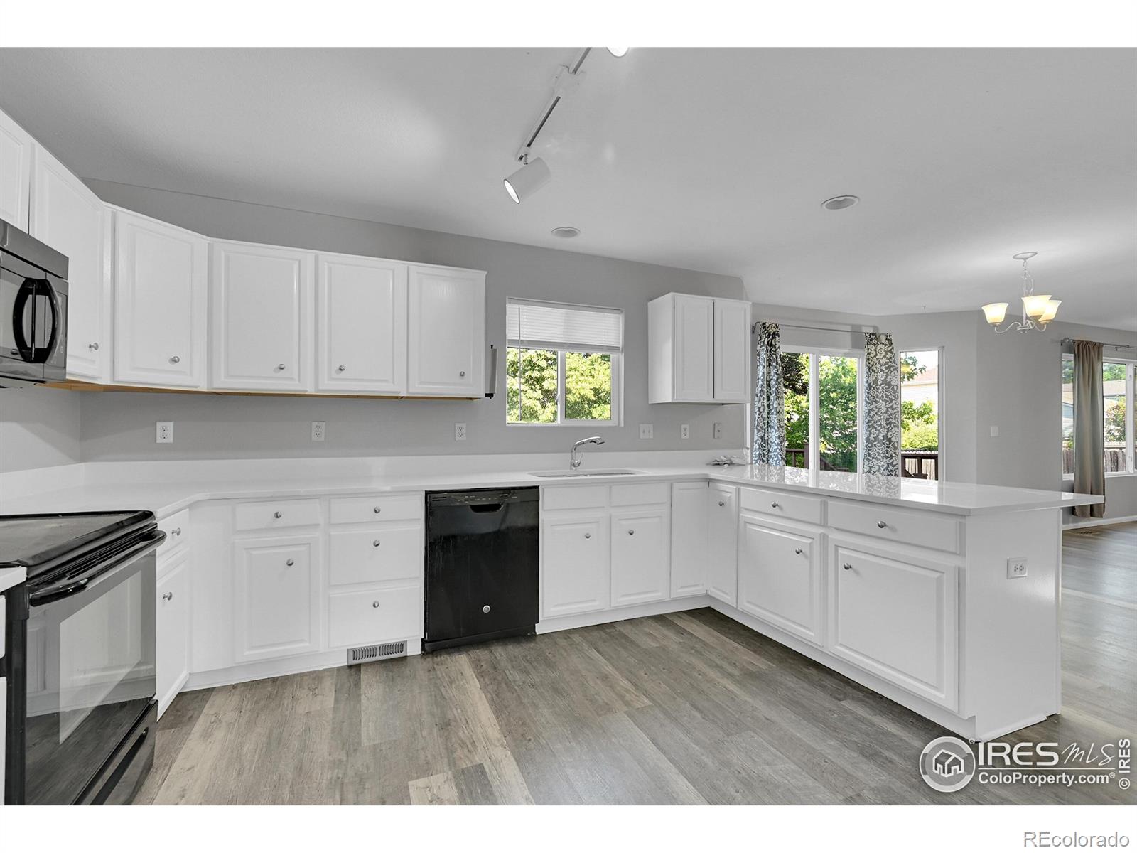 MLS Image #8 for 1226  fremont court,longmont, Colorado