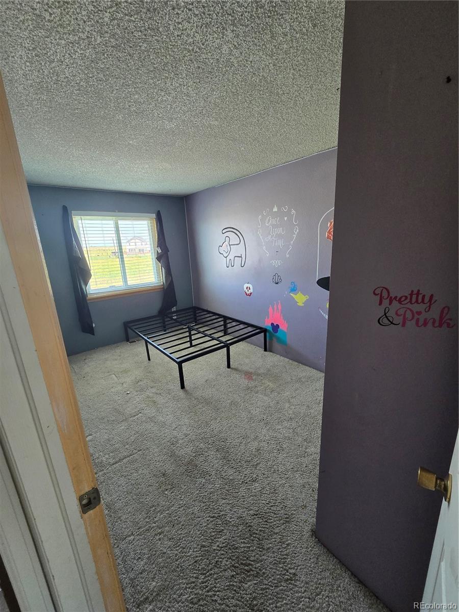 MLS Image #16 for 275  mckinley drive,bennett, Colorado