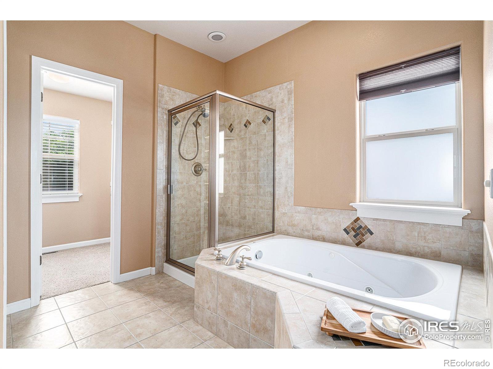 MLS Image #15 for 5120  coral burst circle,loveland, Colorado