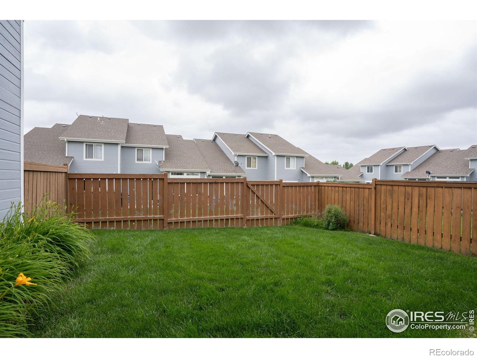 MLS Image #17 for 4566  lucerne avenue,loveland, Colorado