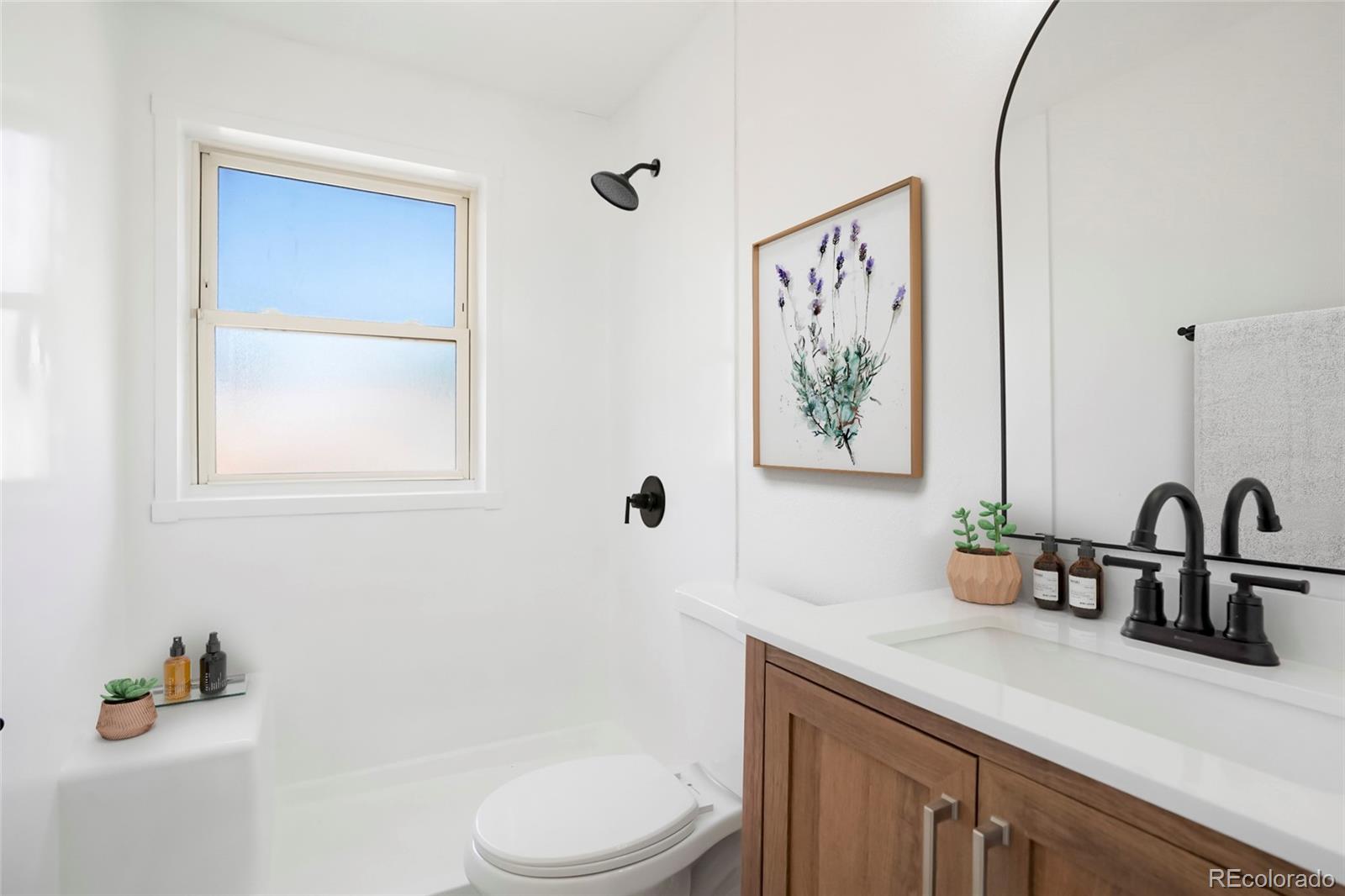 MLS Image #9 for 5554  crystal way,denver, Colorado