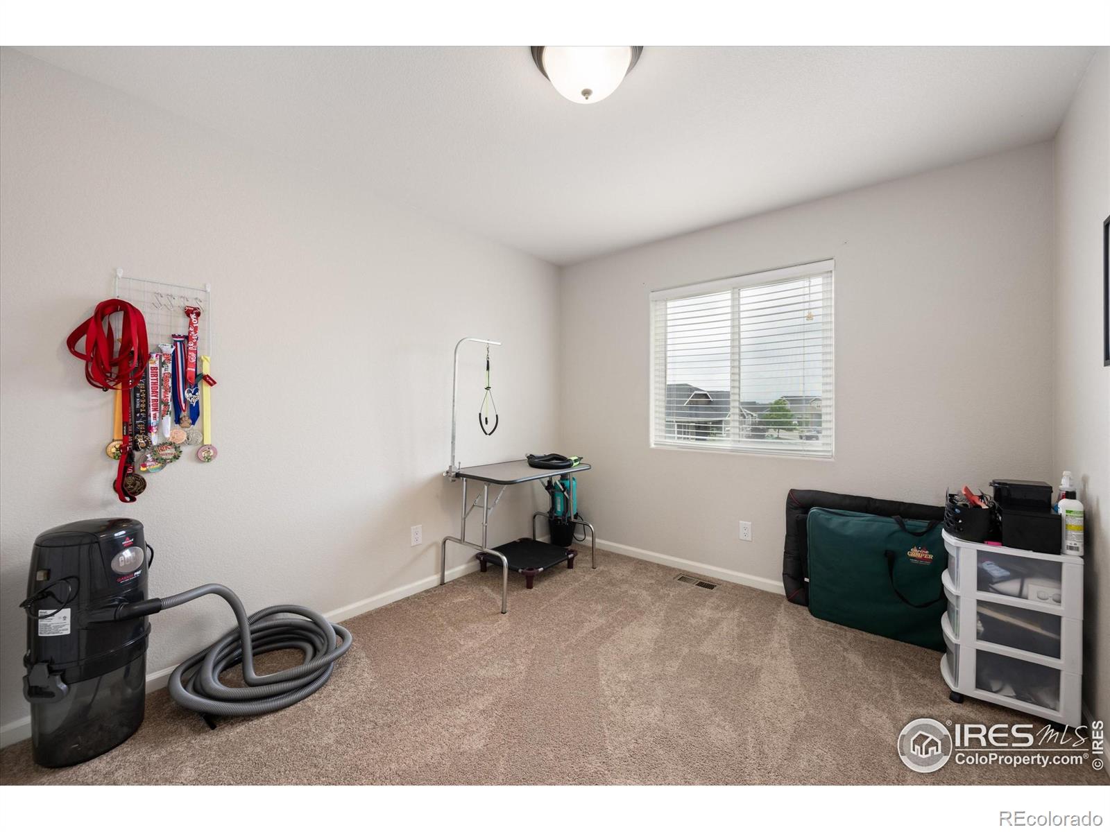 MLS Image #22 for 2017  pioneer drive,milliken, Colorado