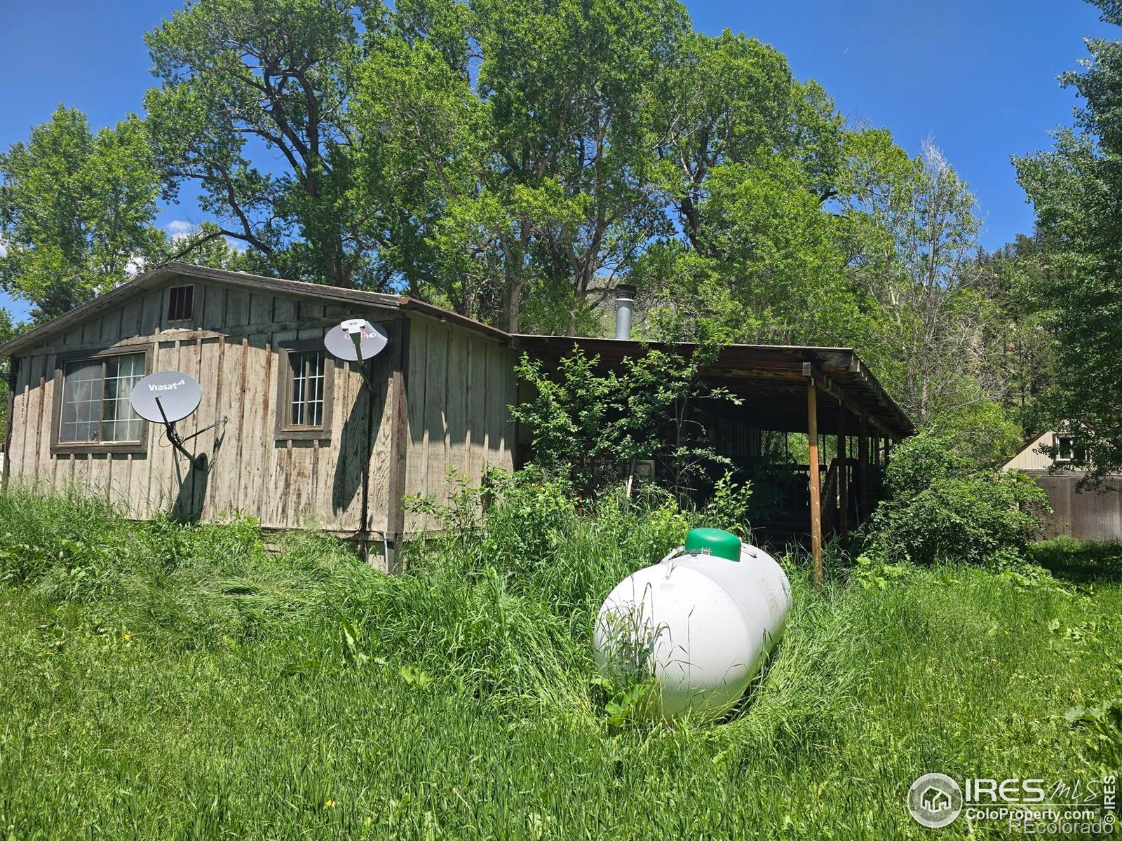 MLS Image #3 for 20881  buckhorn road,bellvue, Colorado