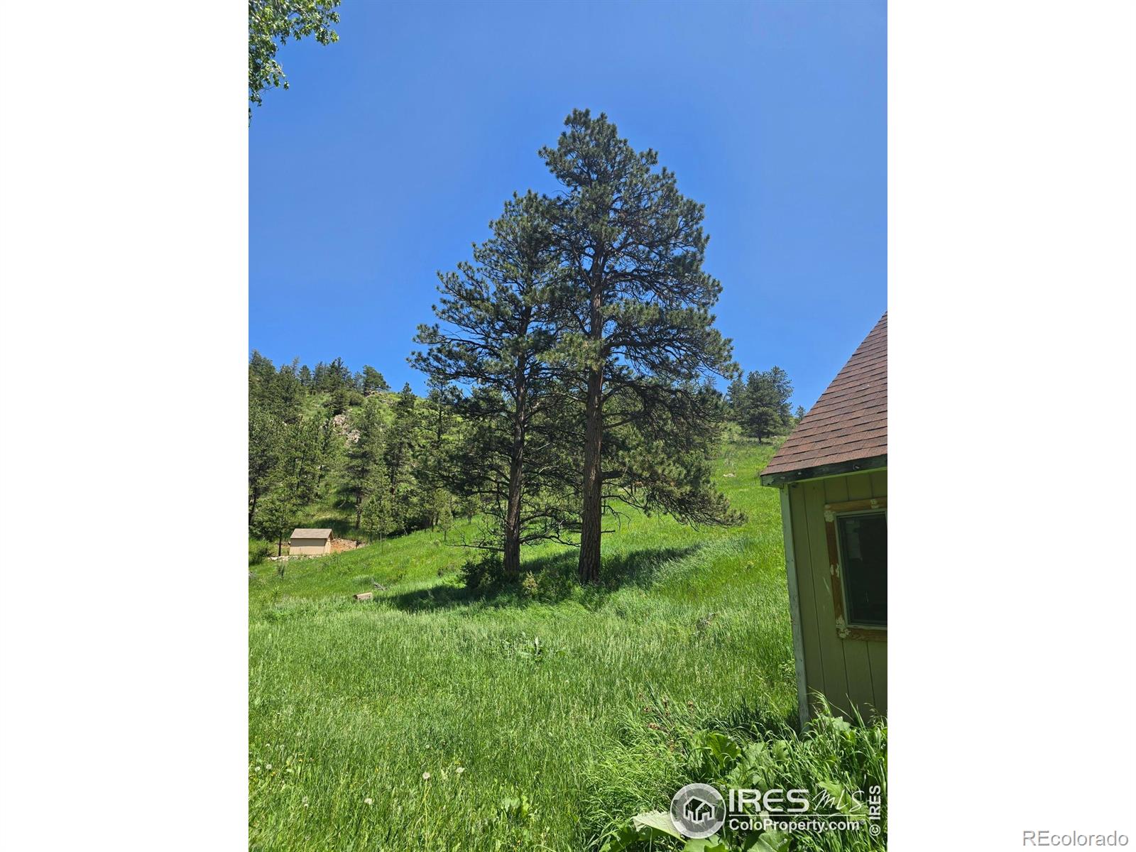 MLS Image #8 for 20881  buckhorn road,bellvue, Colorado