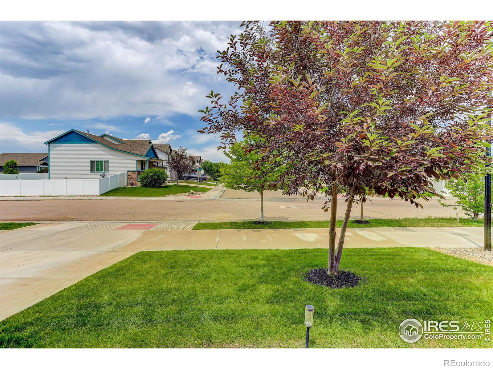 MLS Image #24 for 4171  front stretch drive,wellington, Colorado