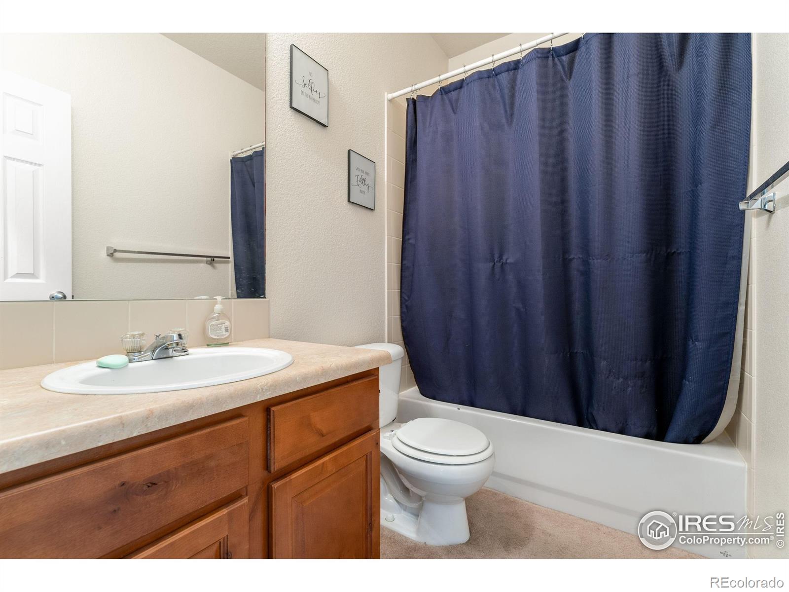 MLS Image #10 for 232  ricker lane,johnstown, Colorado