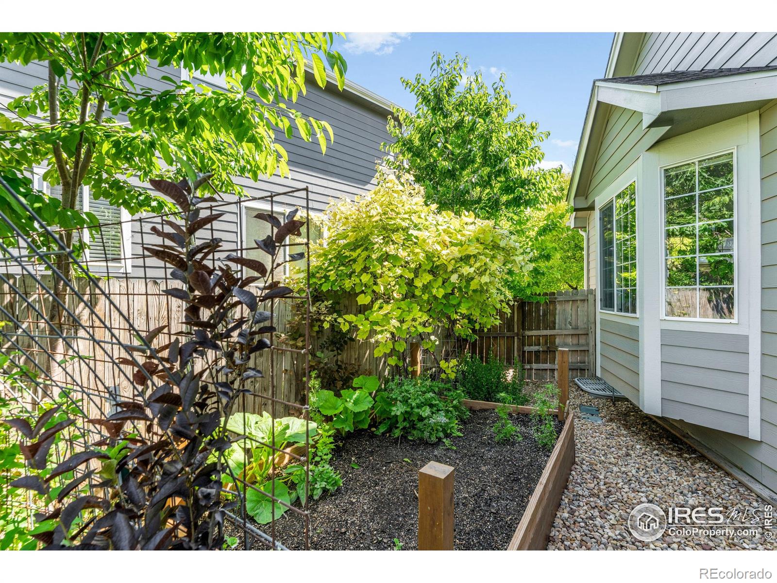 MLS Image #27 for 232  ricker lane,johnstown, Colorado