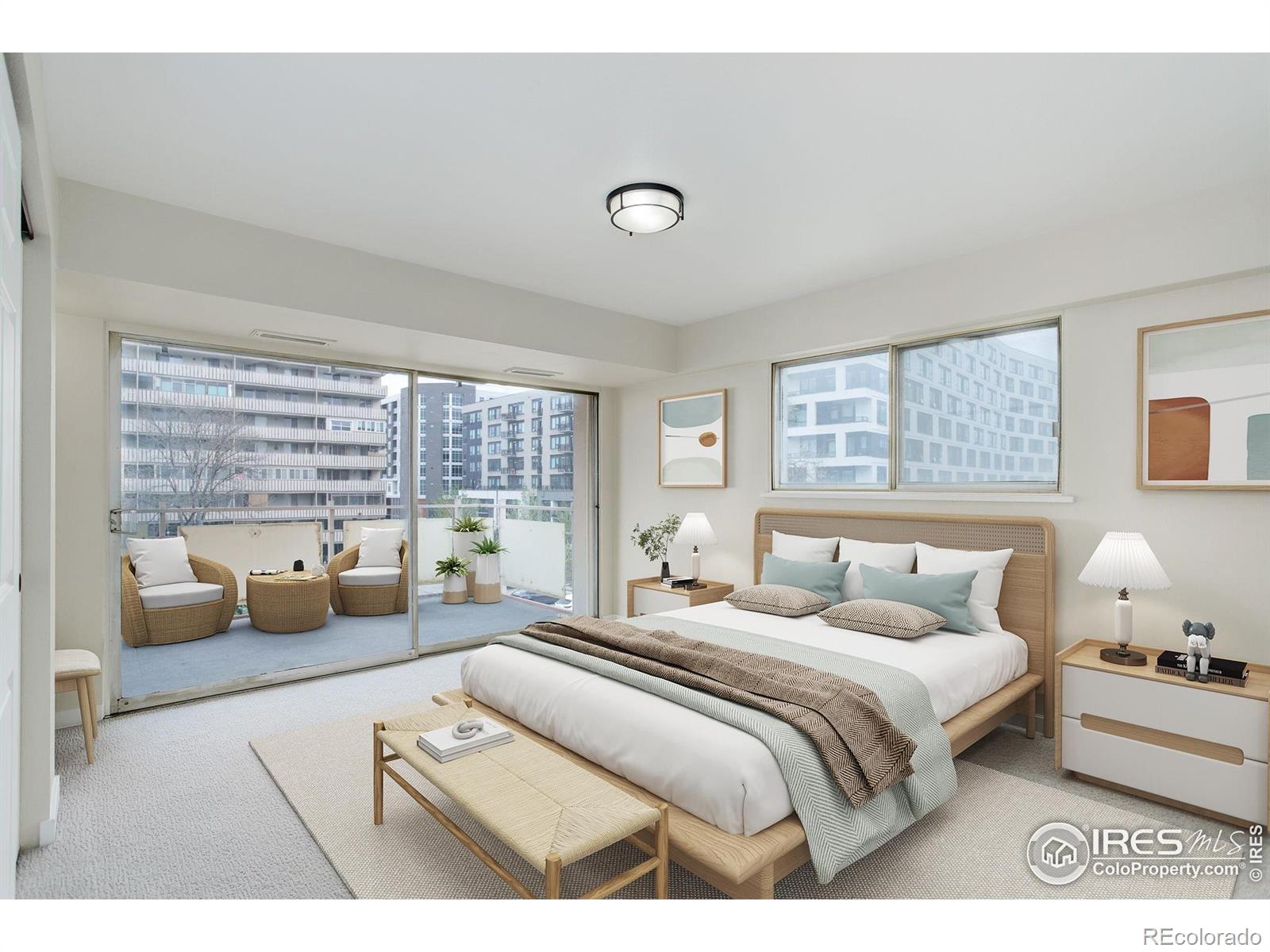MLS Image #10 for 1121  albion street,denver, Colorado