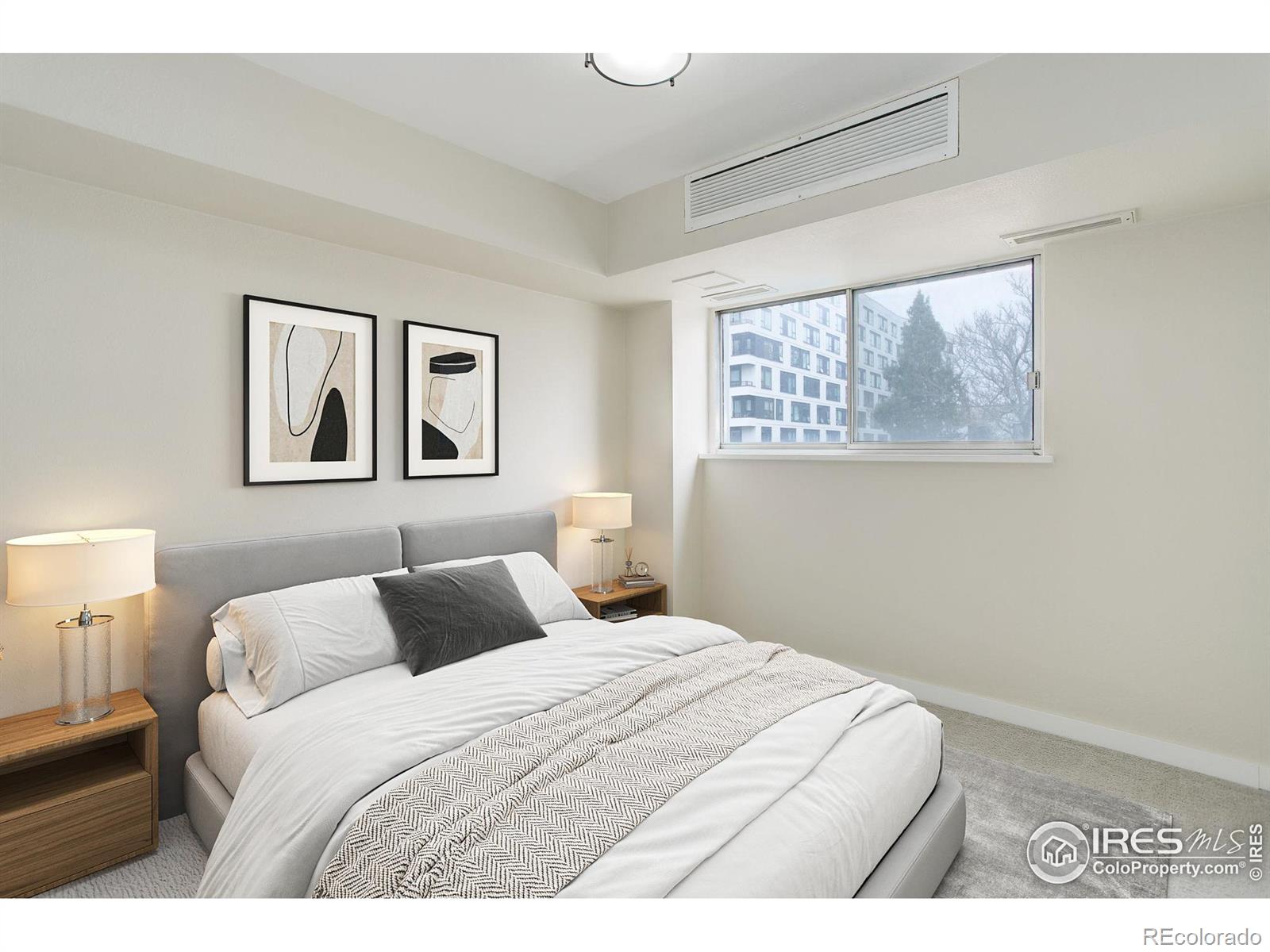 MLS Image #13 for 1121  albion street,denver, Colorado