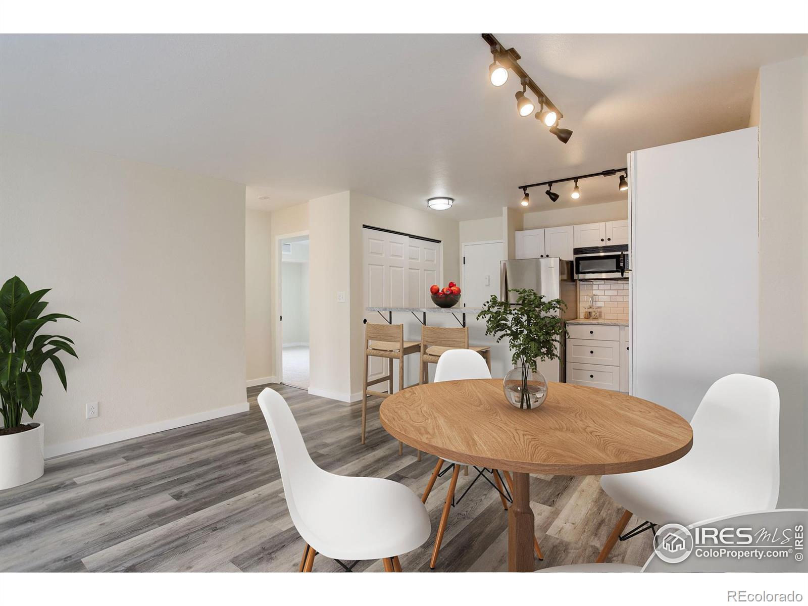 MLS Image #4 for 1121  albion street,denver, Colorado