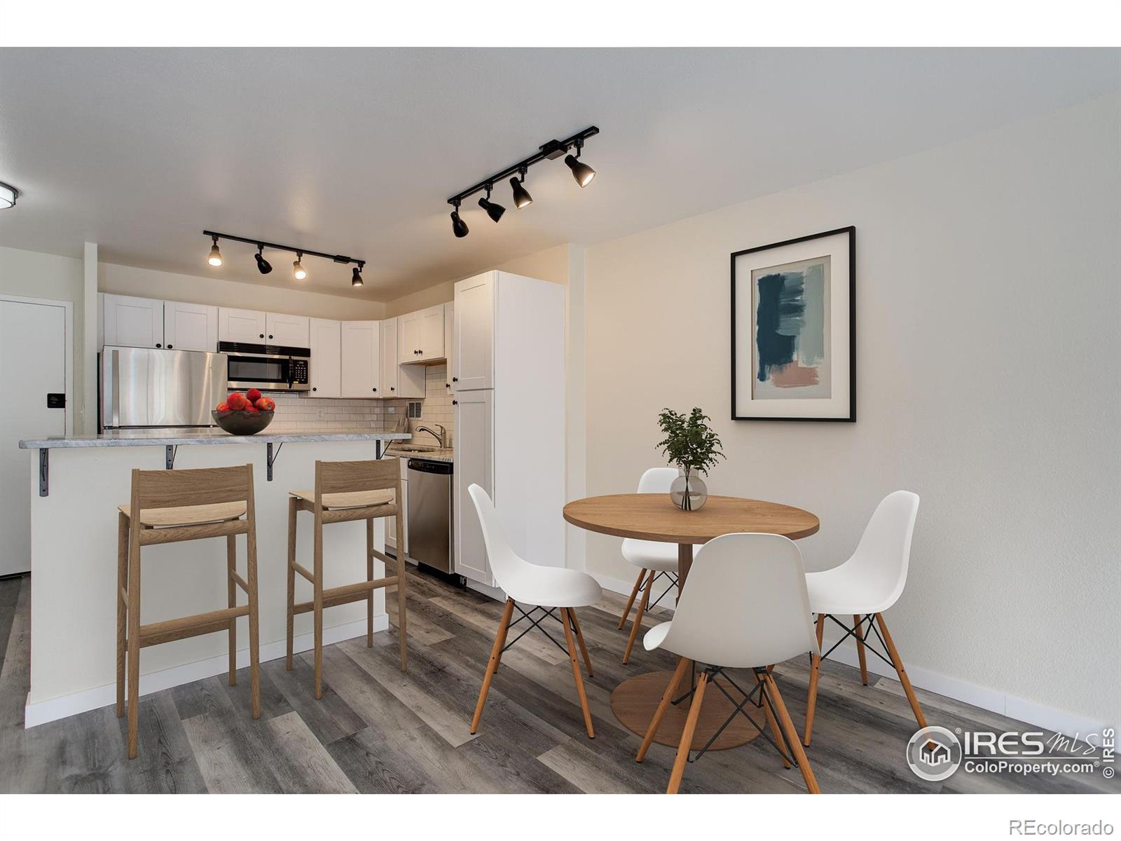 MLS Image #5 for 1121  albion street,denver, Colorado