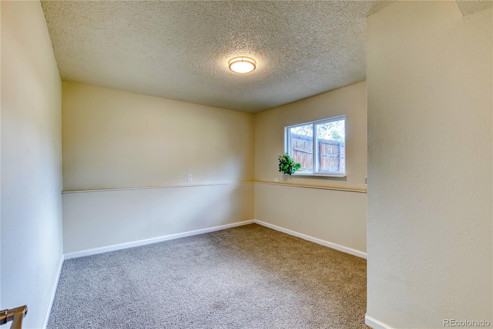 MLS Image #11 for 2565  anjelina circle,colorado springs, Colorado