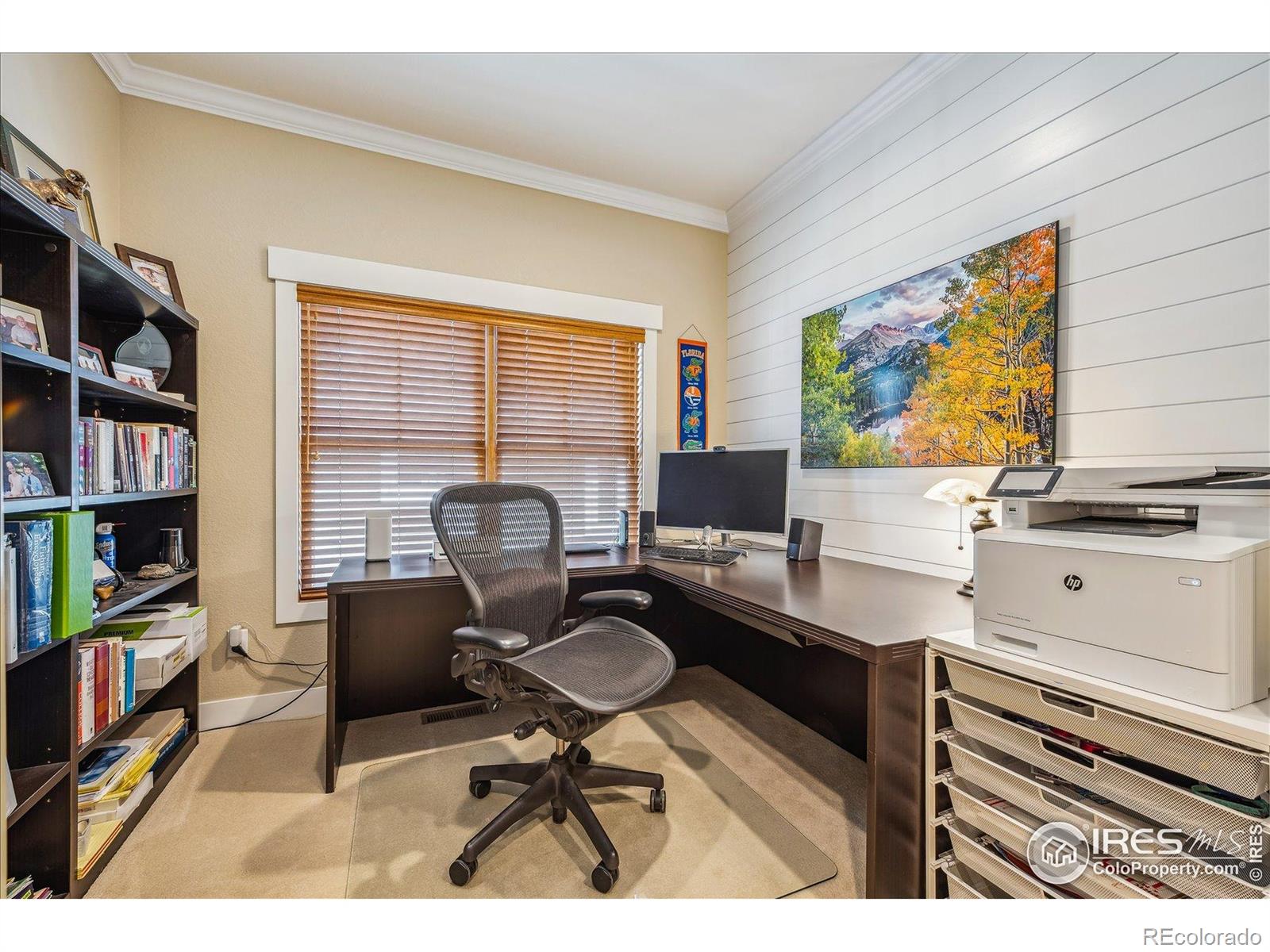 MLS Image #16 for 1022 w mountain avenue,fort collins, Colorado