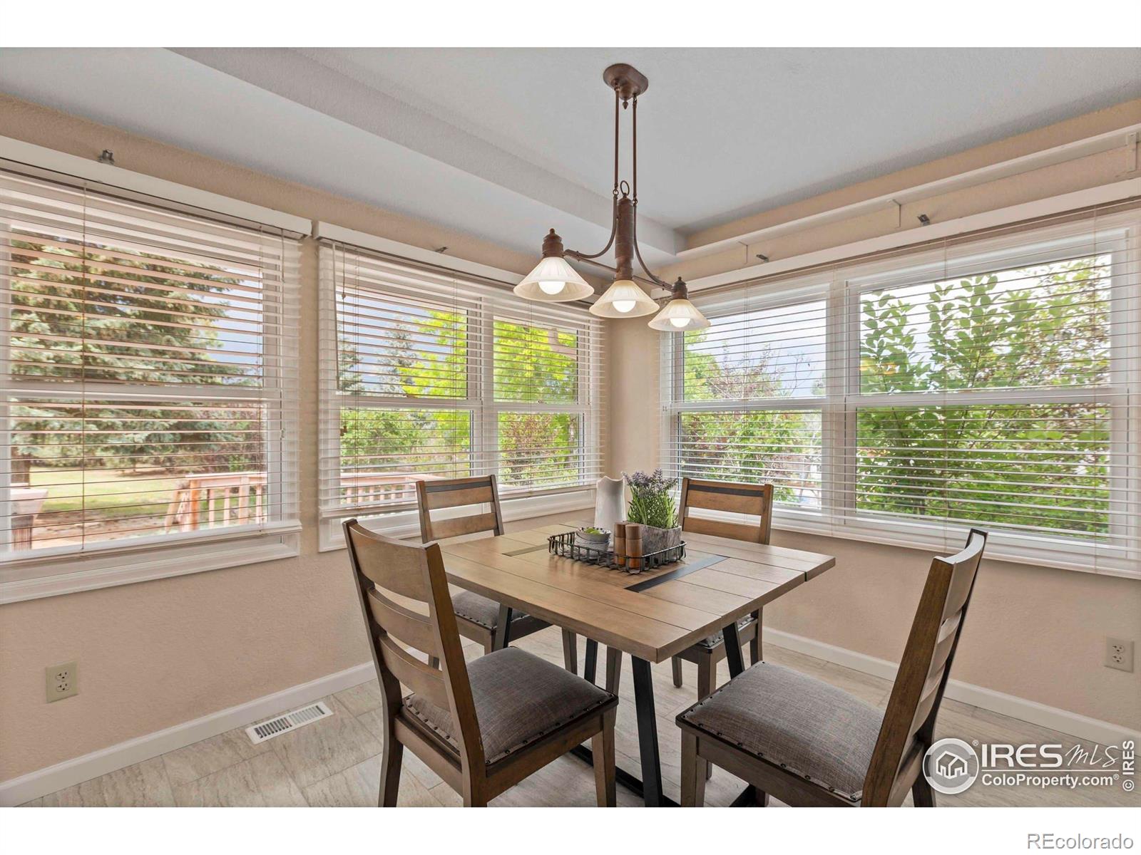 MLS Image #8 for 412  terry point drive,fort collins, Colorado