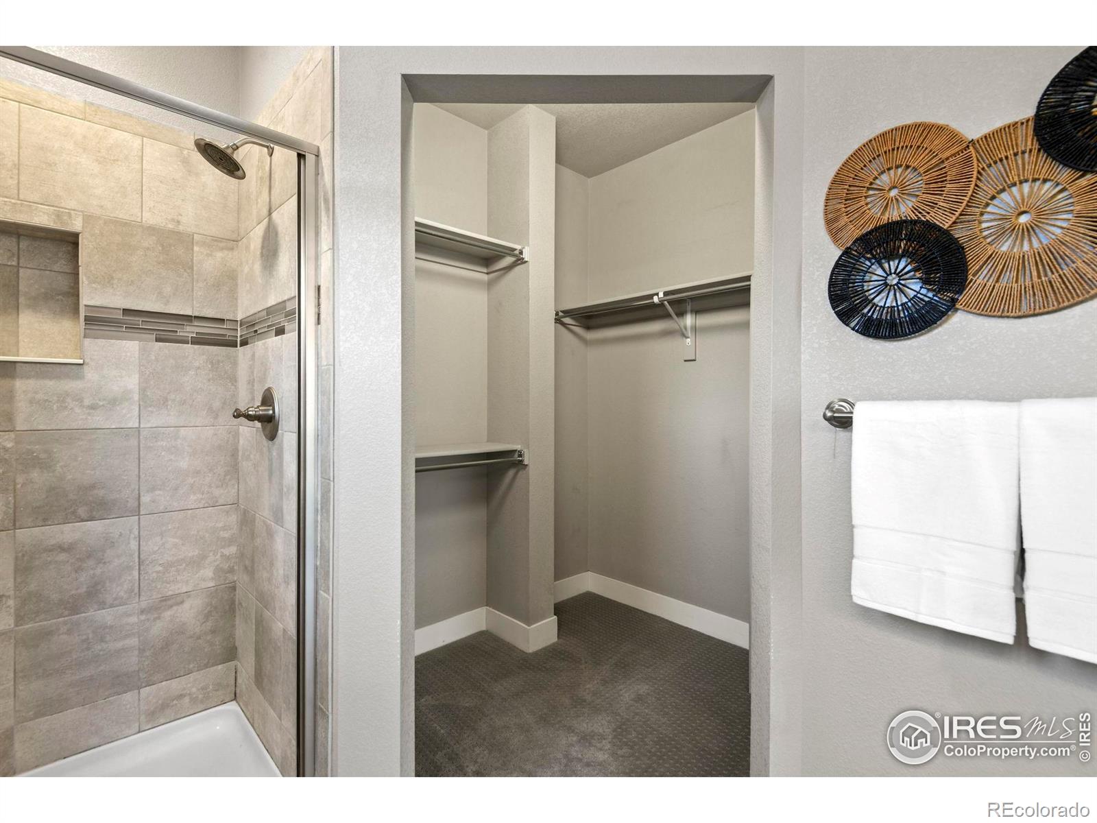 MLS Image #22 for 2241  limon drive,fort collins, Colorado