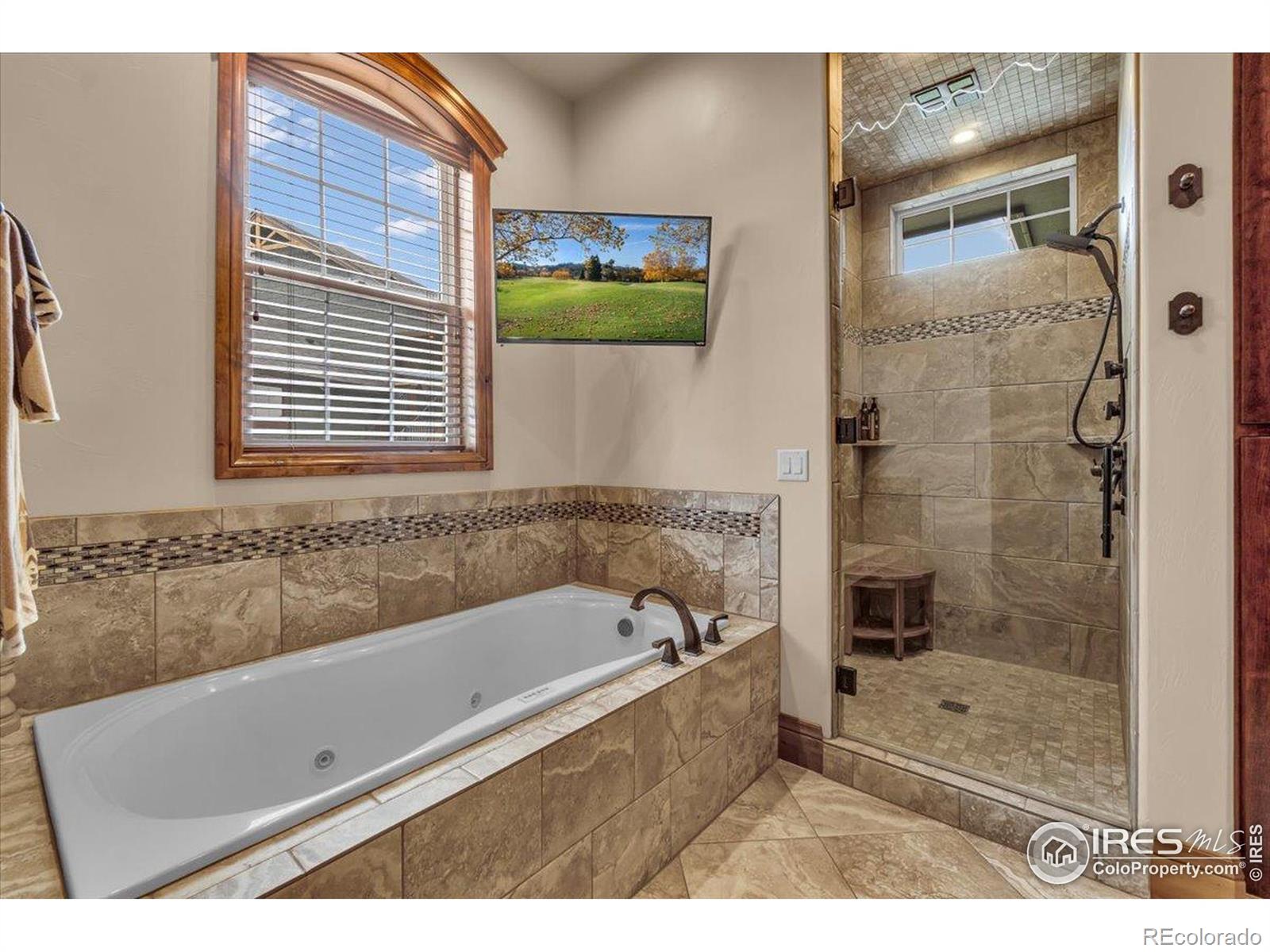 MLS Image #13 for 37021  kingfisher court,severance, Colorado