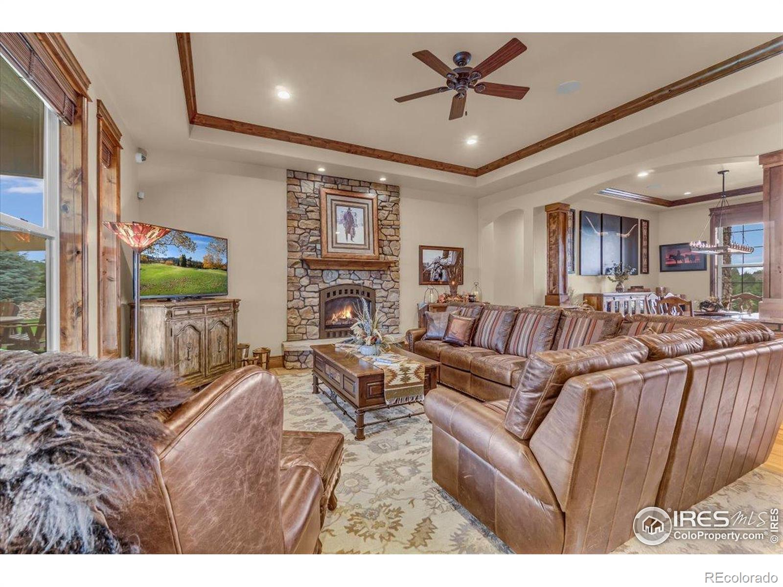 MLS Image #4 for 37021  kingfisher court,severance, Colorado