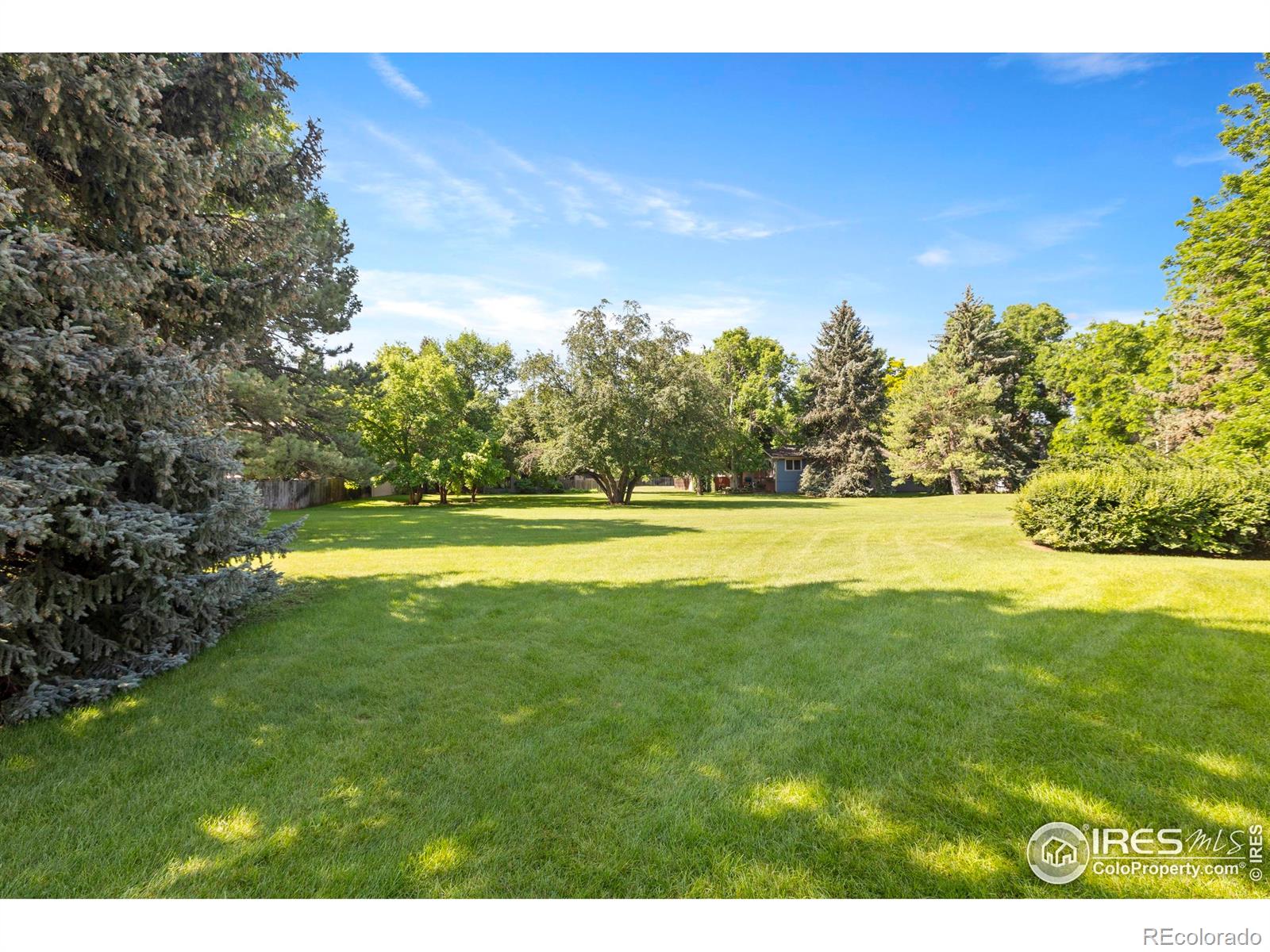 MLS Image #31 for 705 e drake road,fort collins, Colorado