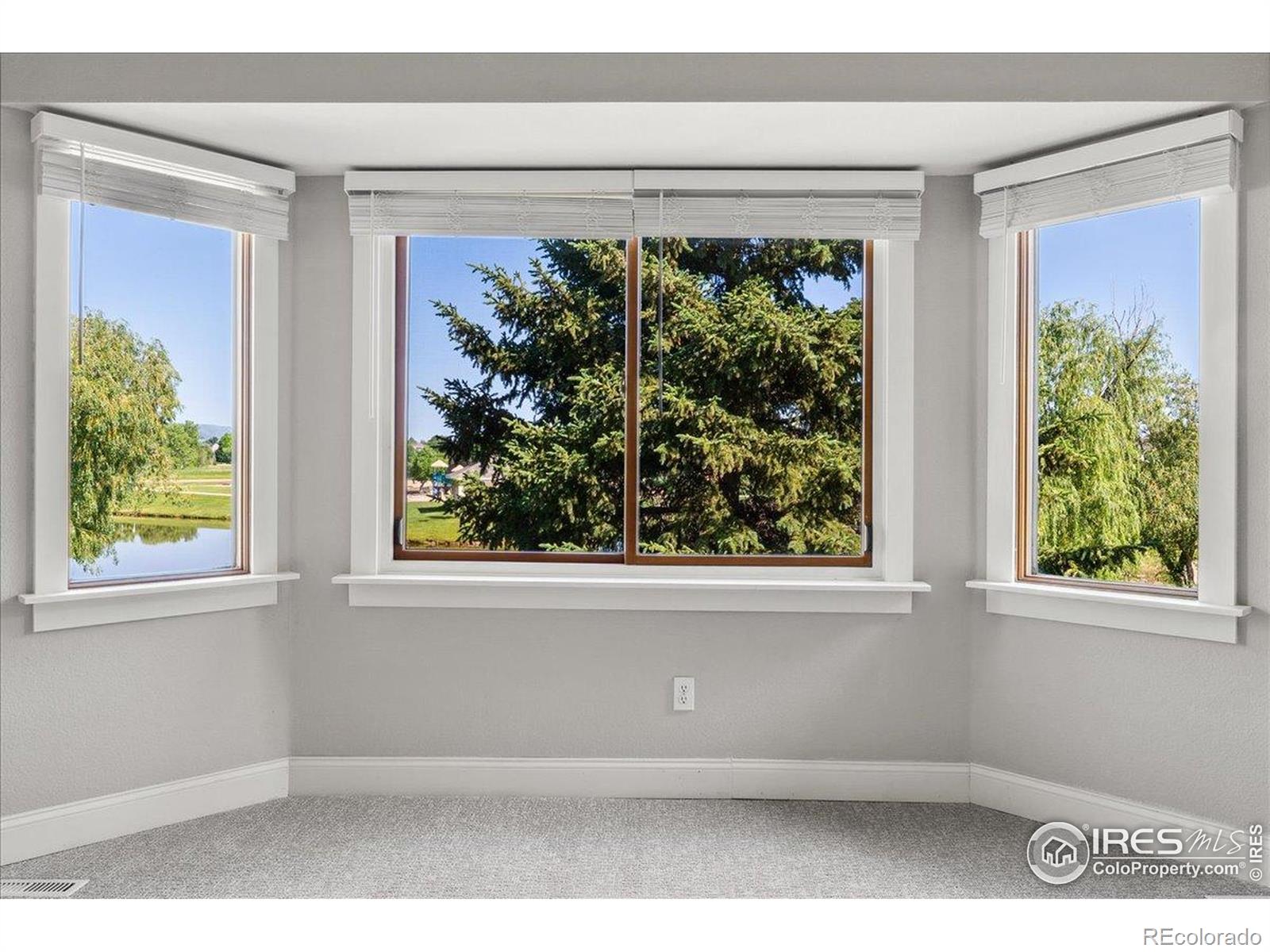 MLS Image #20 for 1206  canvasback court,fort collins, Colorado