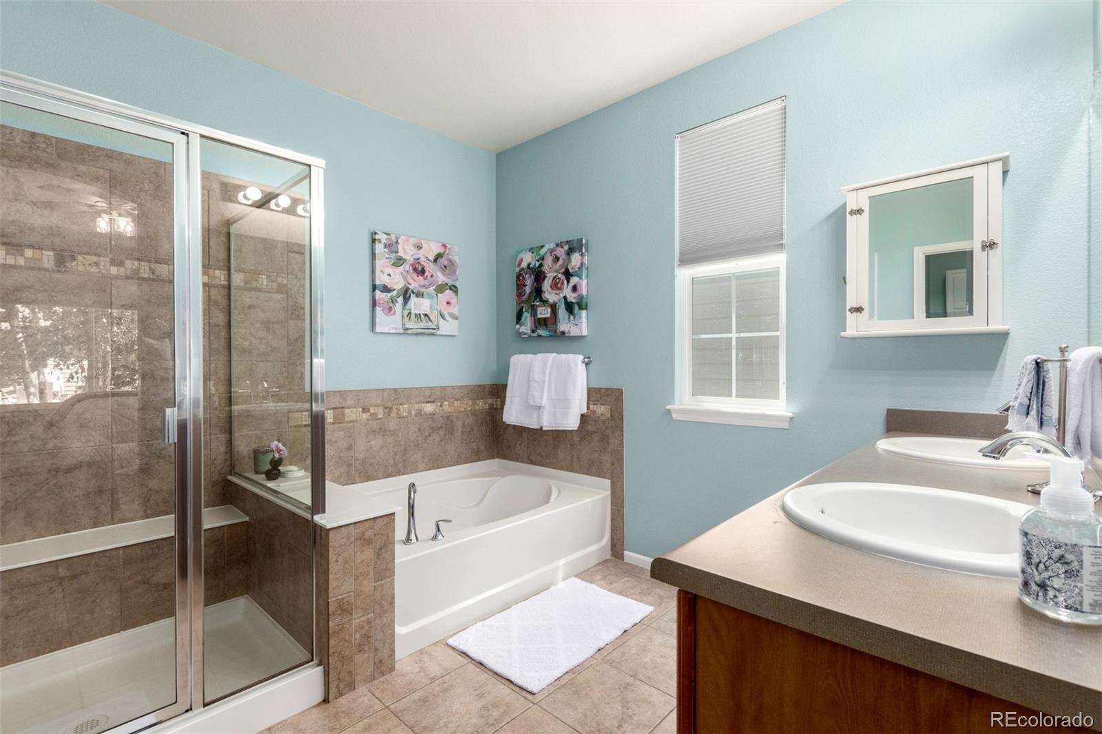 MLS Image #19 for 1038  mircos street,erie, Colorado