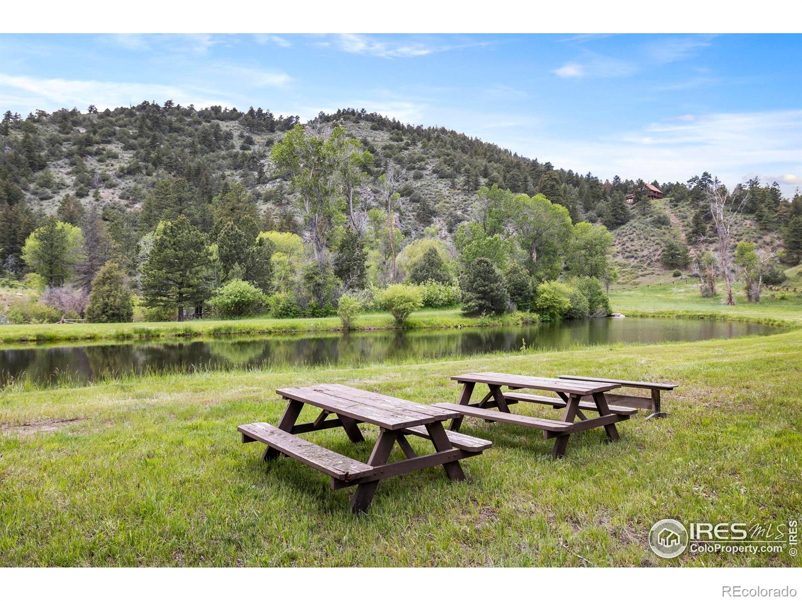 MLS Image #7 for 164  dunraven glade road,glen haven, Colorado