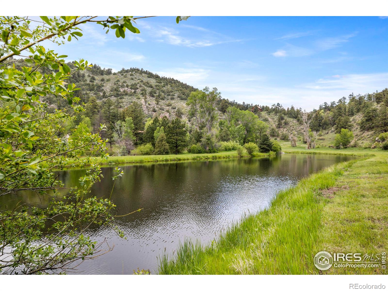MLS Image #8 for 164  dunraven glade road,glen haven, Colorado
