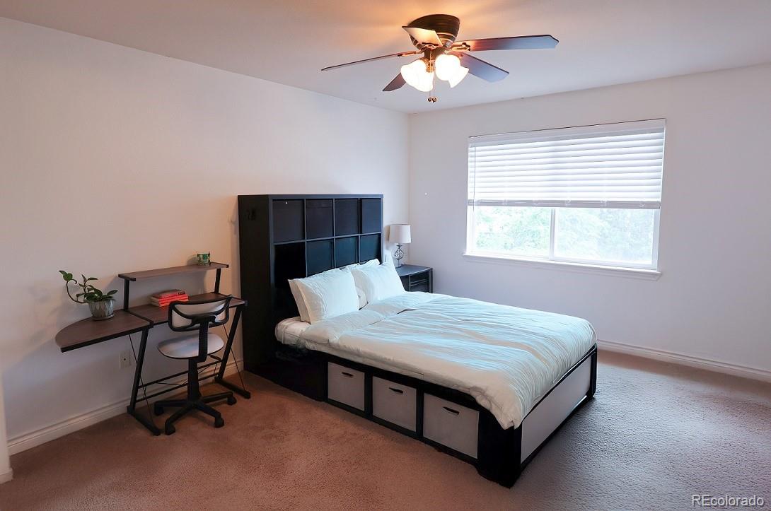 MLS Image #26 for 7627  halleys drive,littleton, Colorado