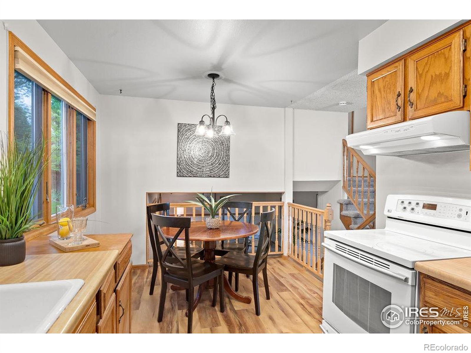MLS Image #10 for 1256  bristlecone place,loveland, Colorado