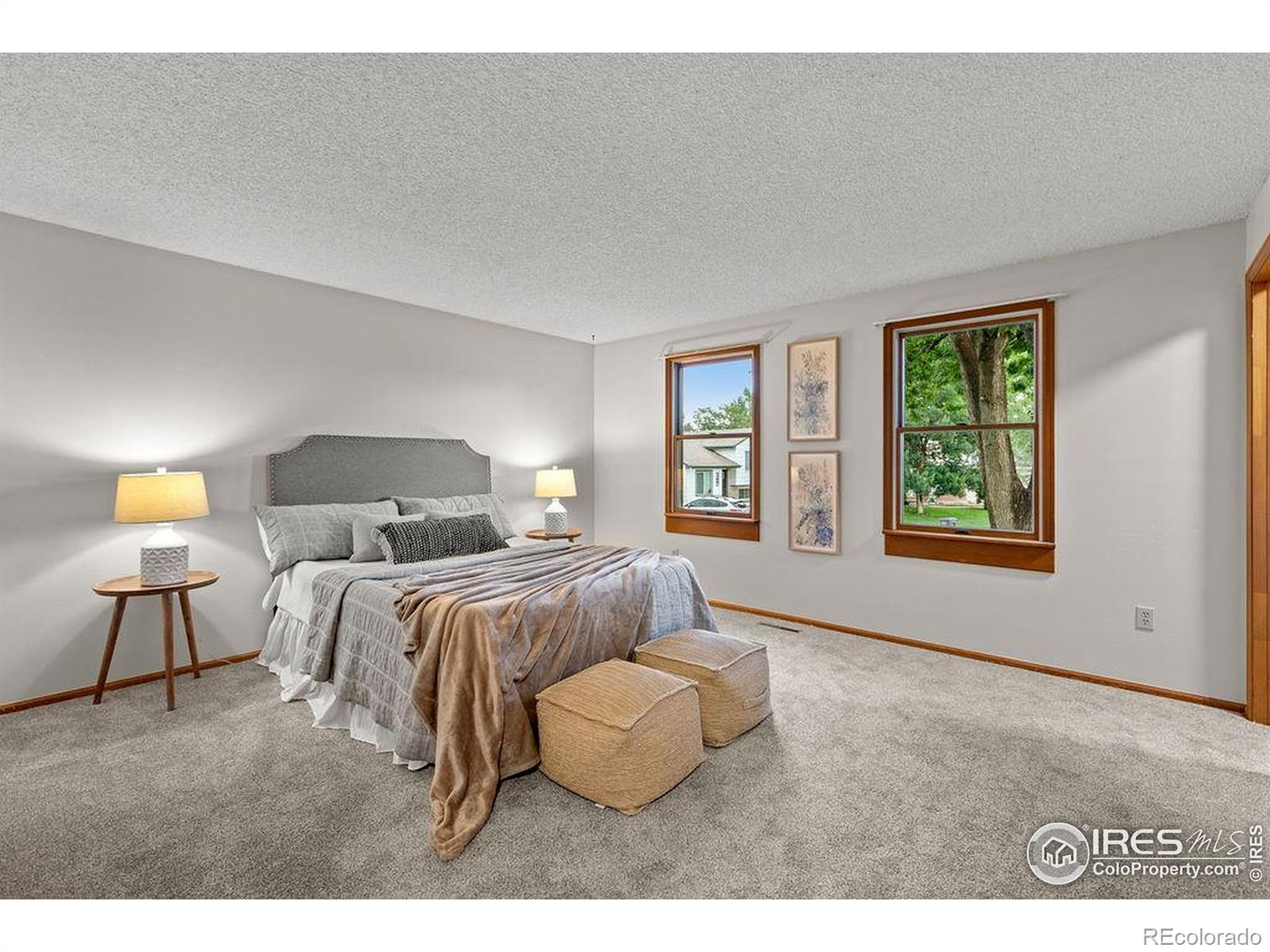 MLS Image #17 for 1256  bristlecone place,loveland, Colorado