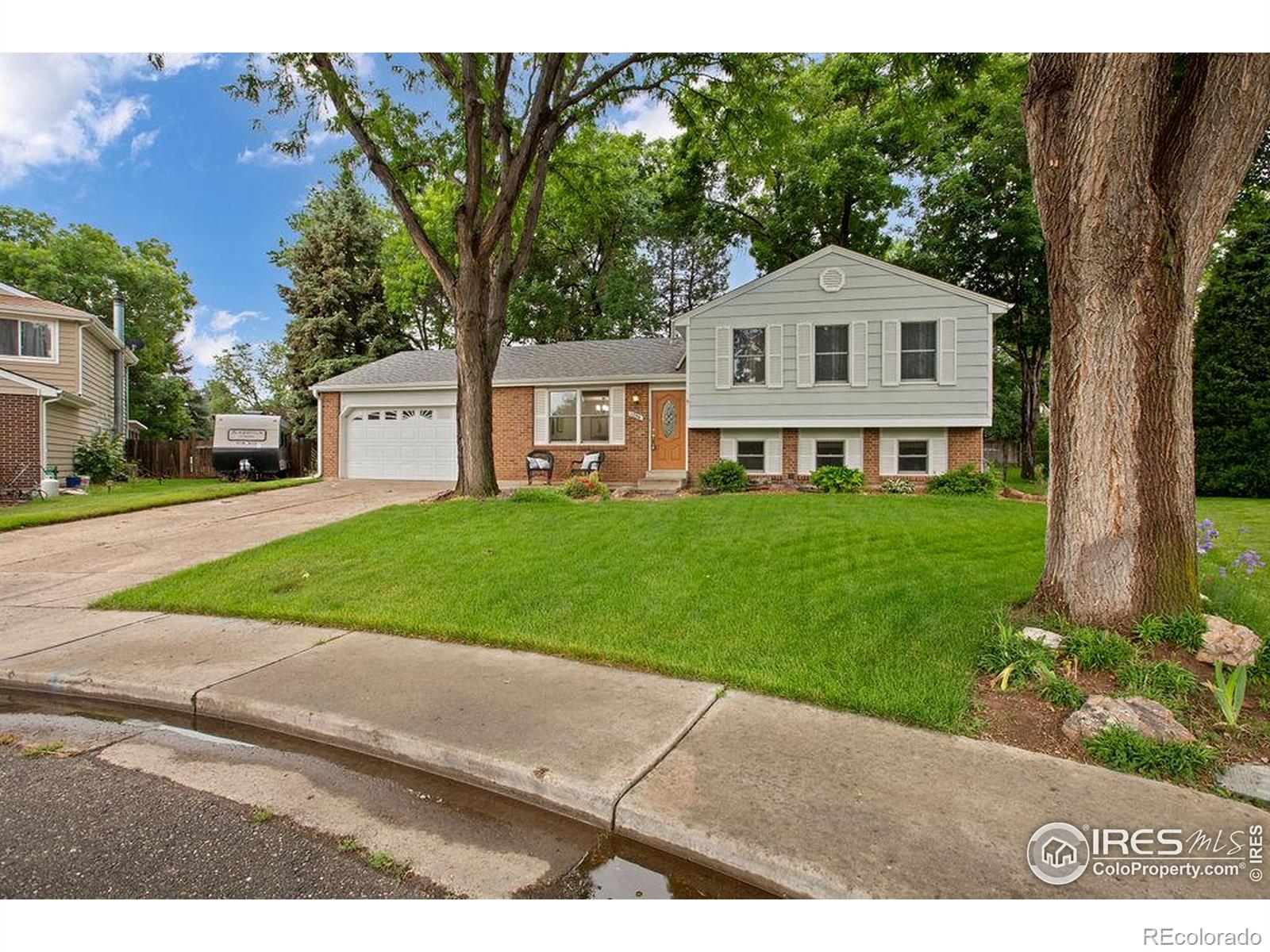 MLS Image #2 for 1256  bristlecone place,loveland, Colorado