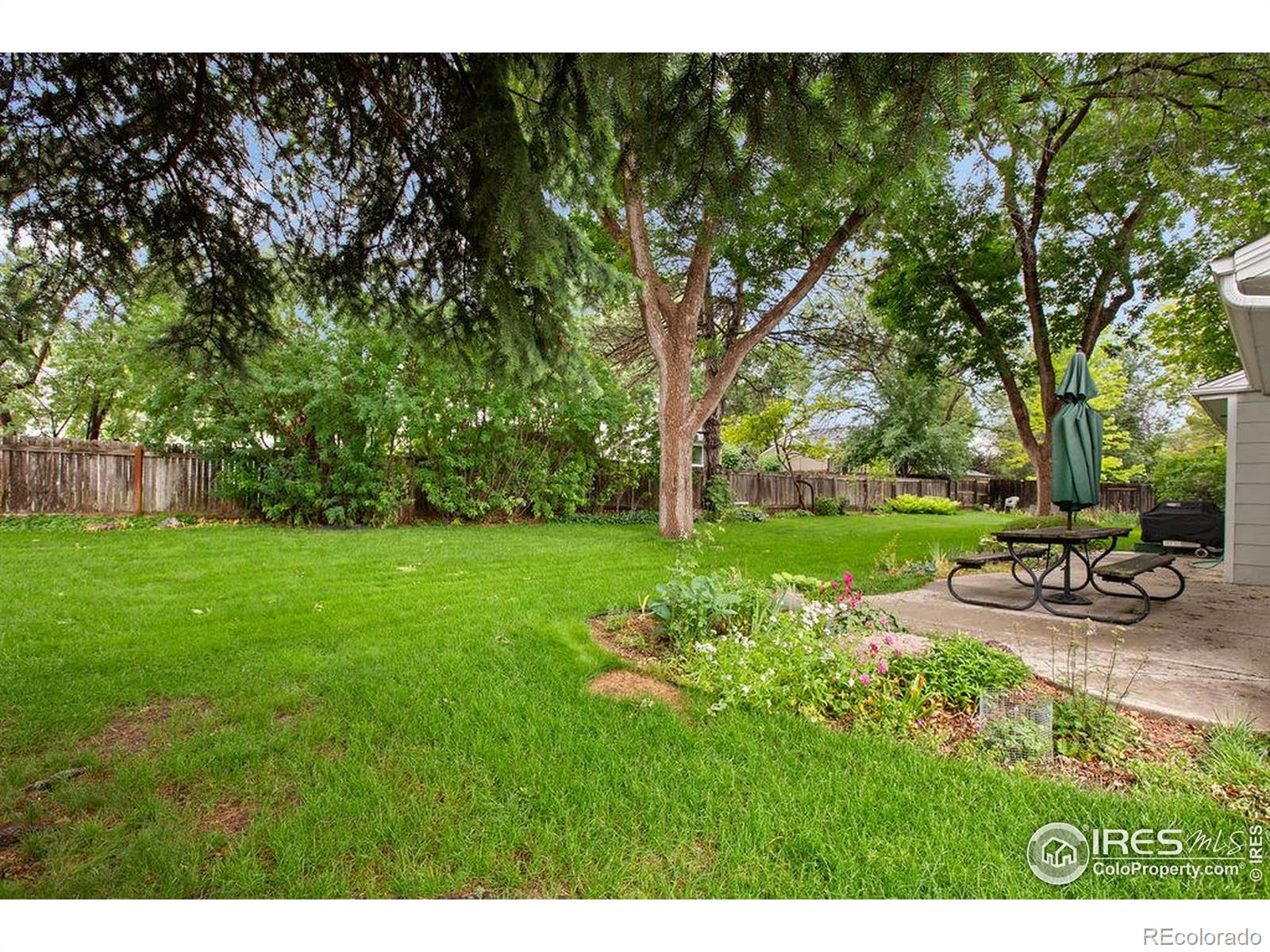 MLS Image #25 for 1256  bristlecone place,loveland, Colorado