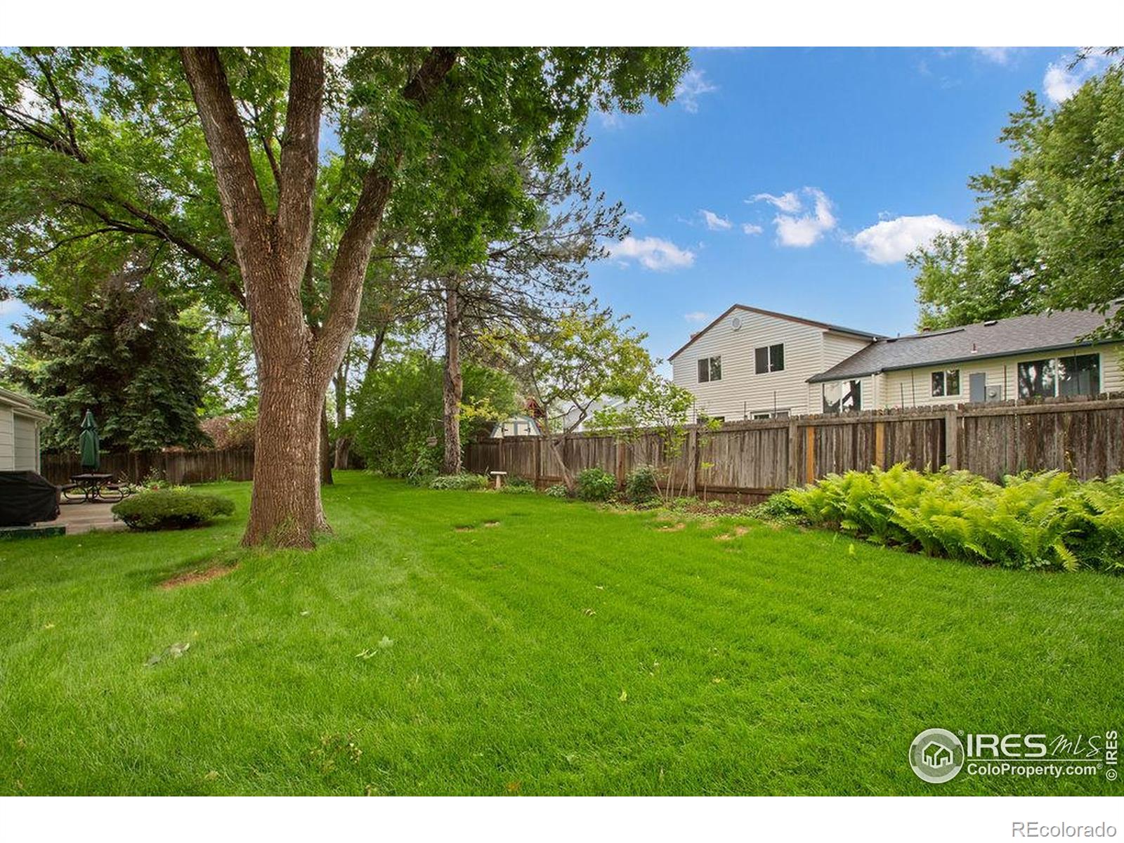 MLS Image #26 for 1256  bristlecone place,loveland, Colorado