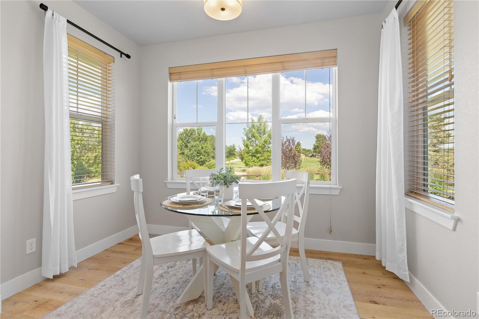 MLS Image #18 for 13729  vallejo loop,broomfield, Colorado
