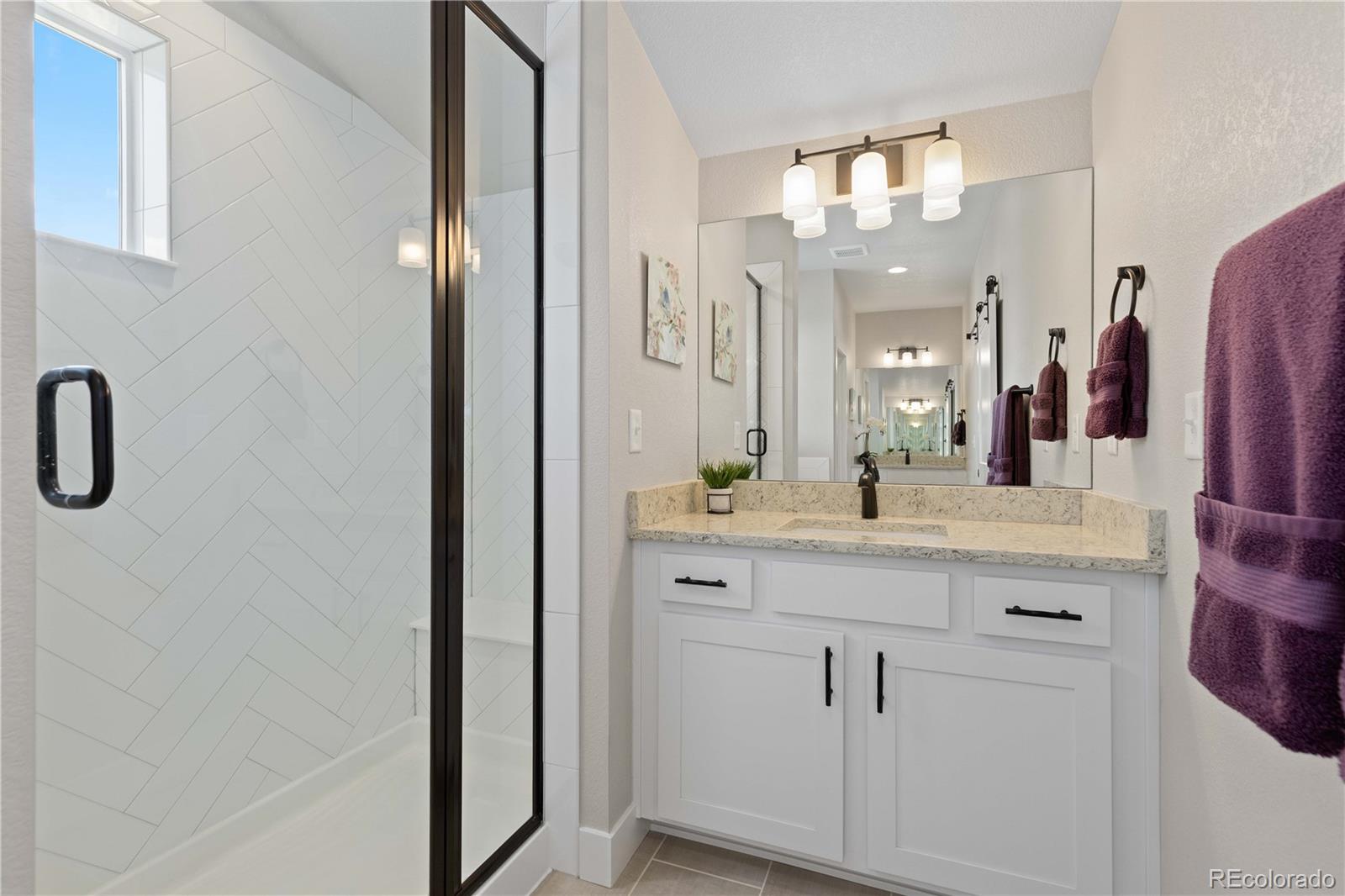 MLS Image #27 for 13729  vallejo loop,broomfield, Colorado