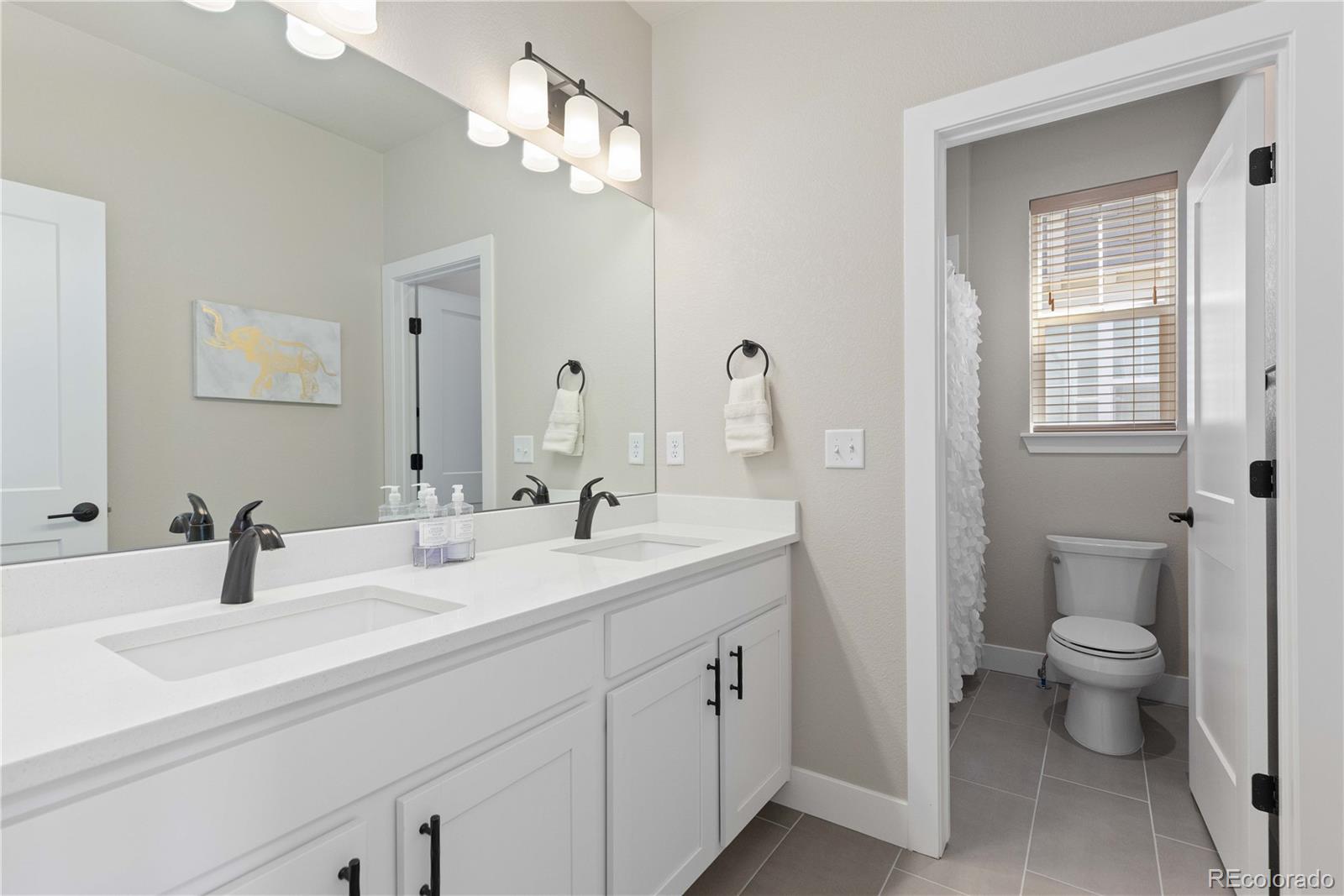 MLS Image #32 for 13729  vallejo loop,broomfield, Colorado