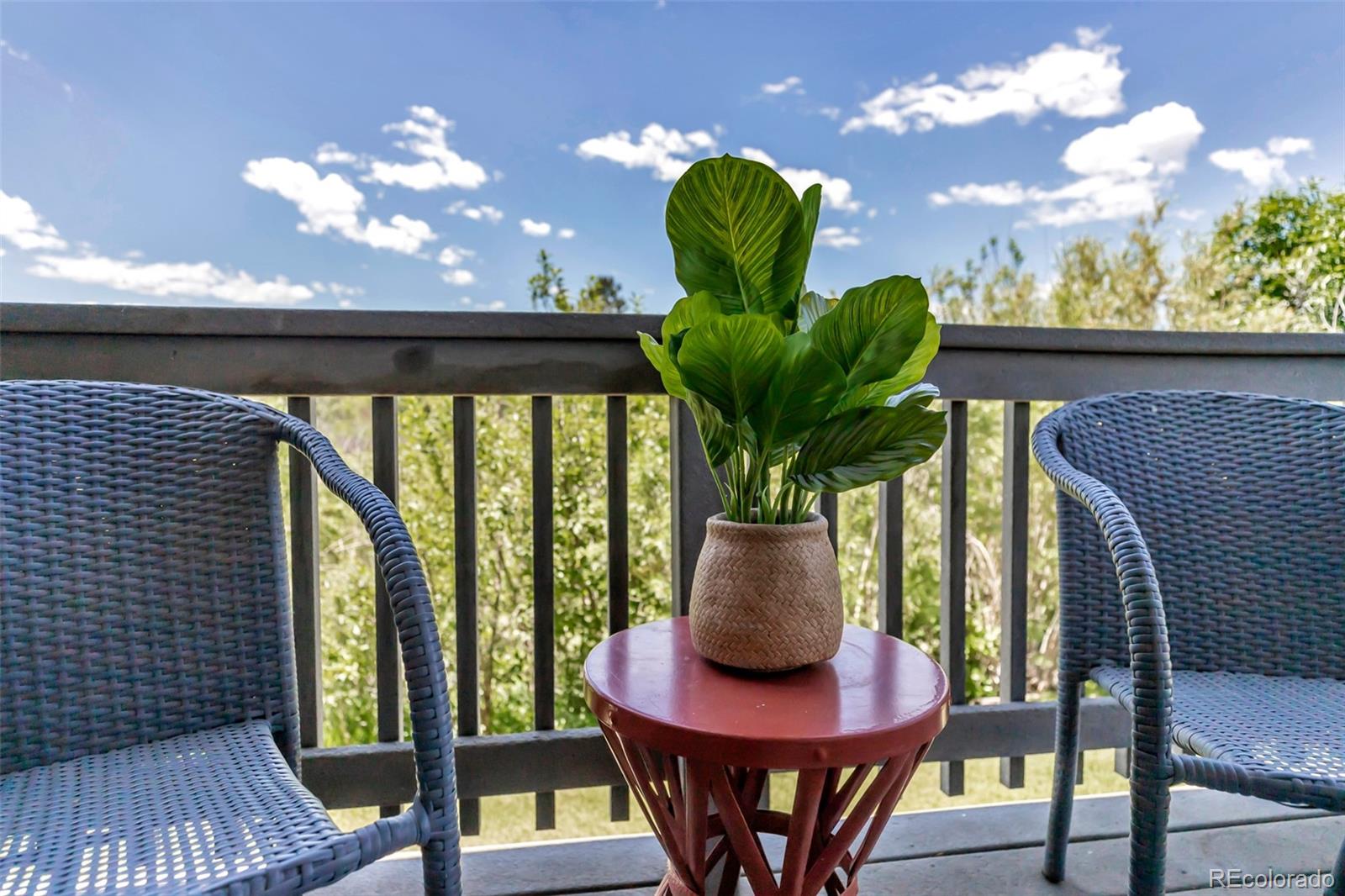 MLS Image #6 for 1135 s gilbert street 103,castle rock, Colorado