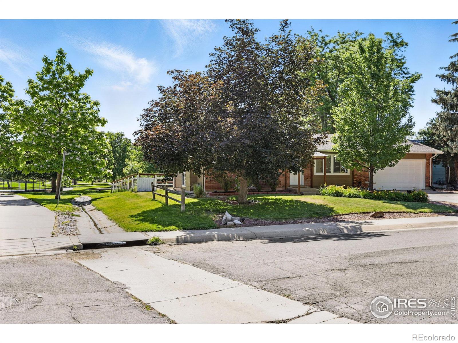MLS Image #4 for 1380  holly drive,broomfield, Colorado