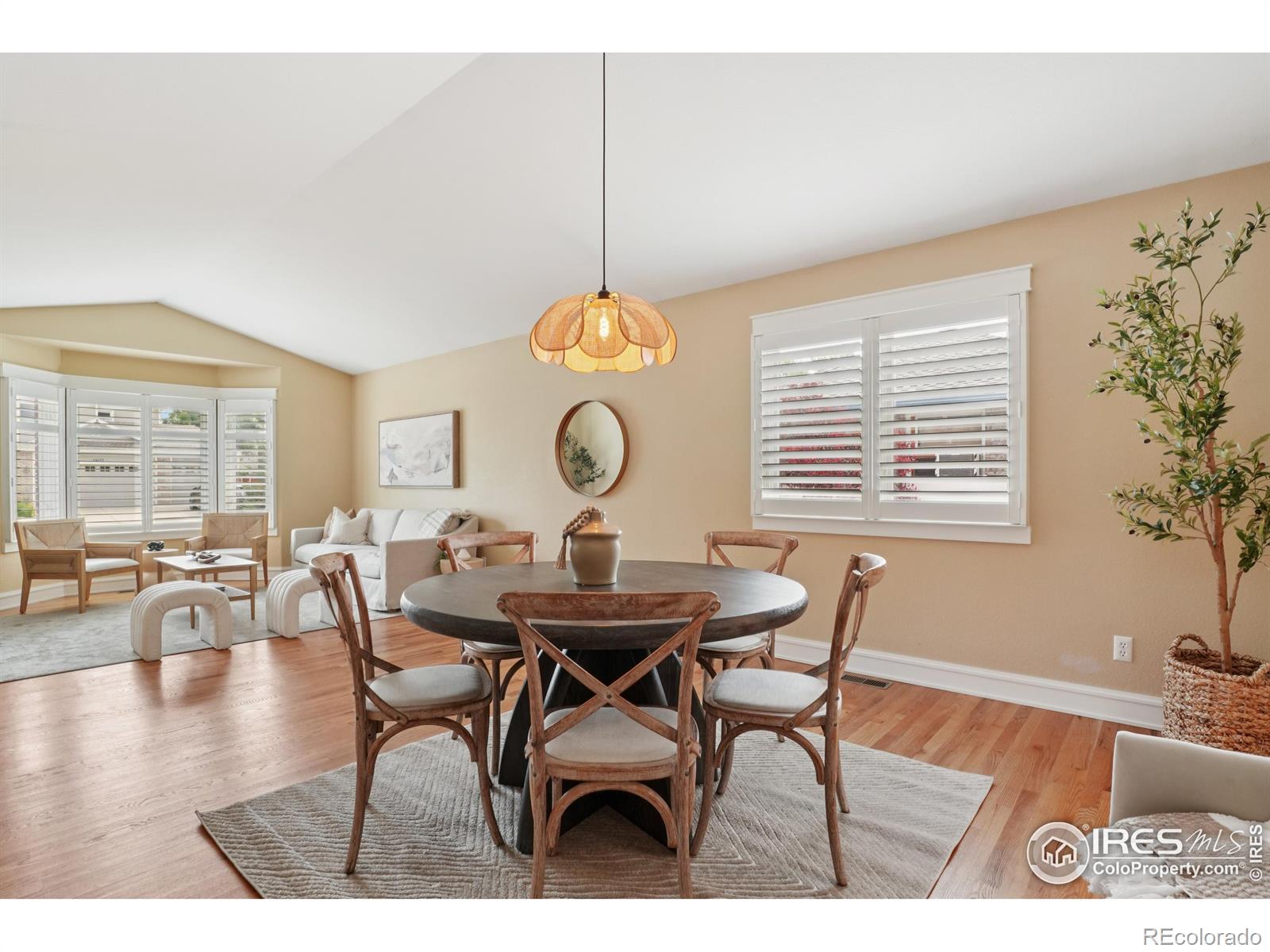 MLS Image #16 for 1806  crestone court,longmont, Colorado