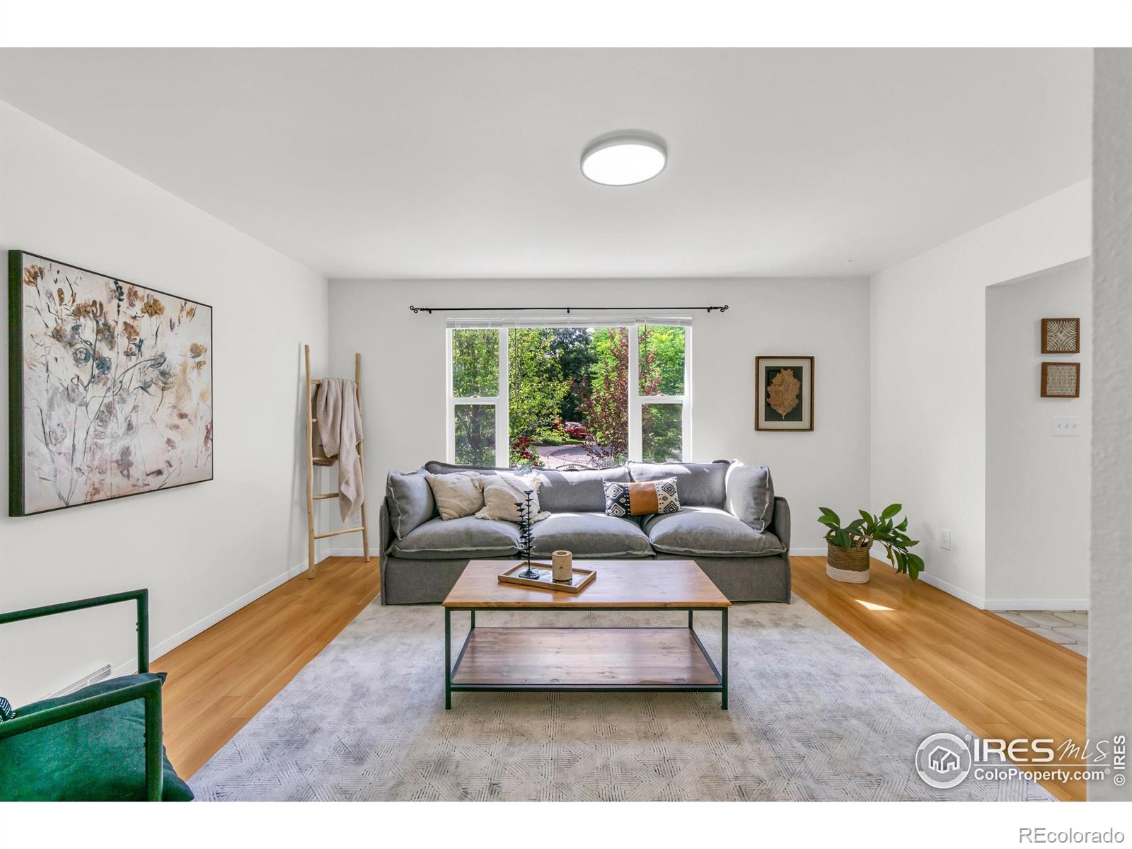 MLS Image #7 for 2036  lexington court,fort collins, Colorado