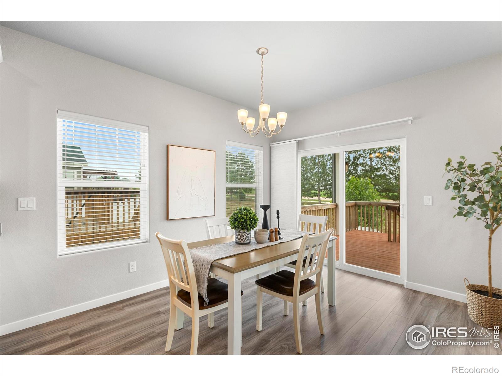 MLS Image #16 for 5017  hawtrey drive,windsor, Colorado