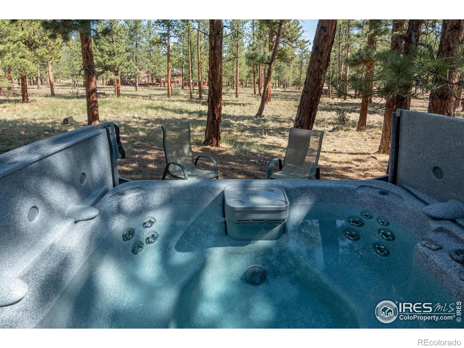 MLS Image #31 for 30795  west ridge road,buena vista, Colorado