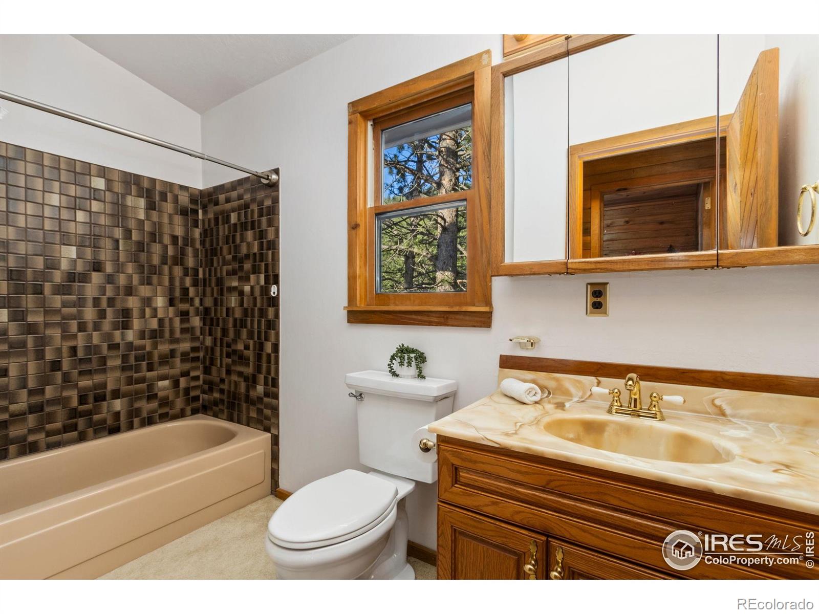 MLS Image #23 for 451  newell drive,loveland, Colorado